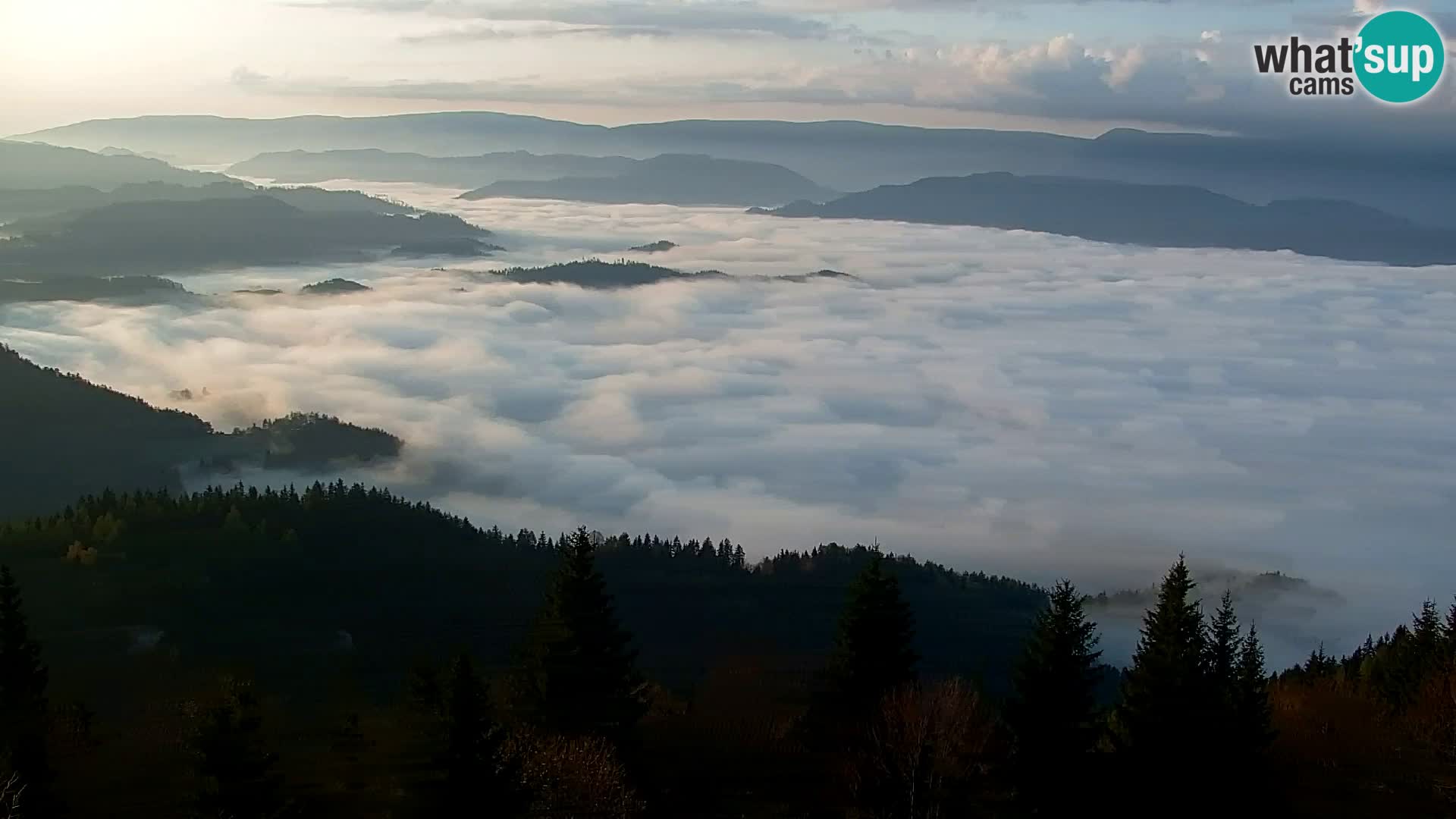 Webcam Kapunar – Radlje ob Dravi