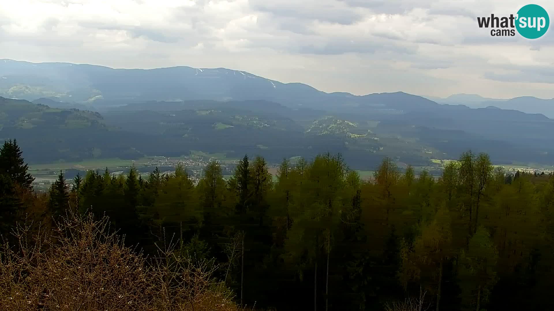 Kapunar Webcam – Radlje ob Dravi