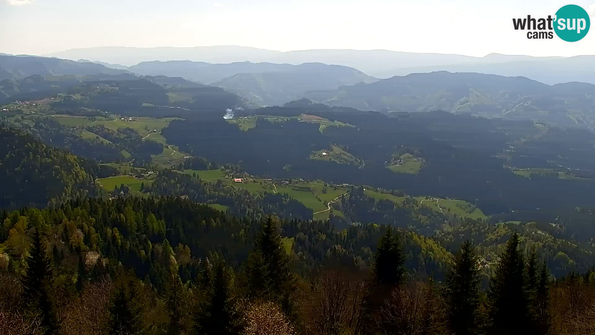 Kapunar Webcam – Radlje ob Dravi