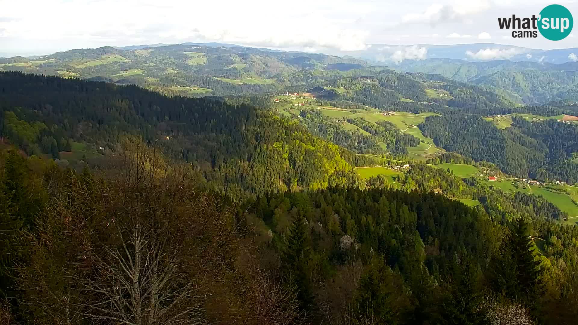 Webcam Kapunar – Radlje ob Dravi