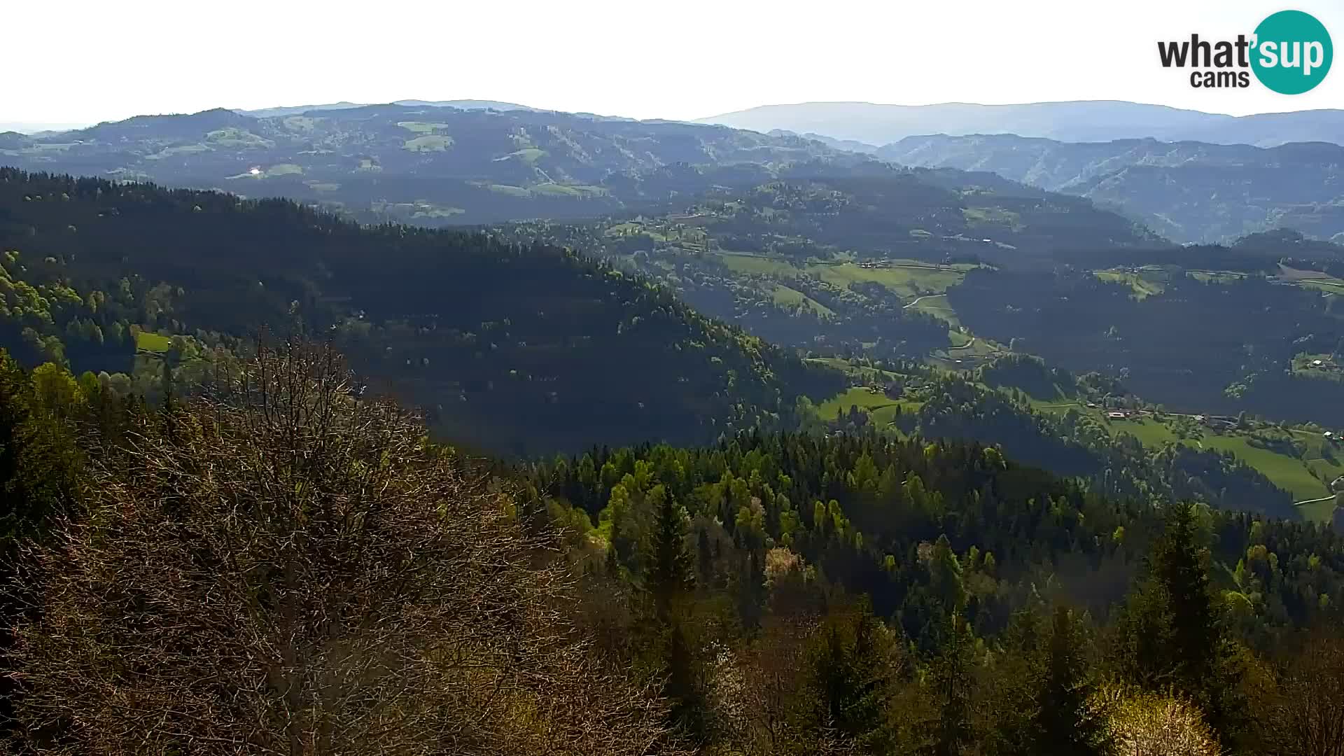 Live cam Kapunar – Radlje ob Dravi