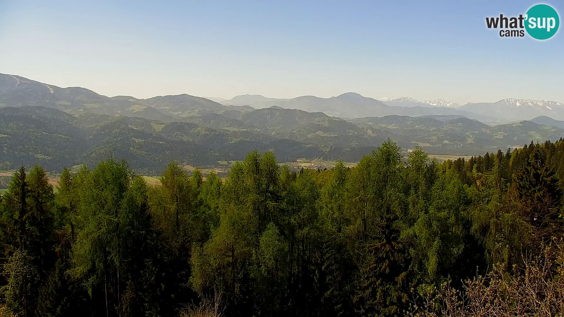 Kapunar Webcam – Radlje ob Dravi