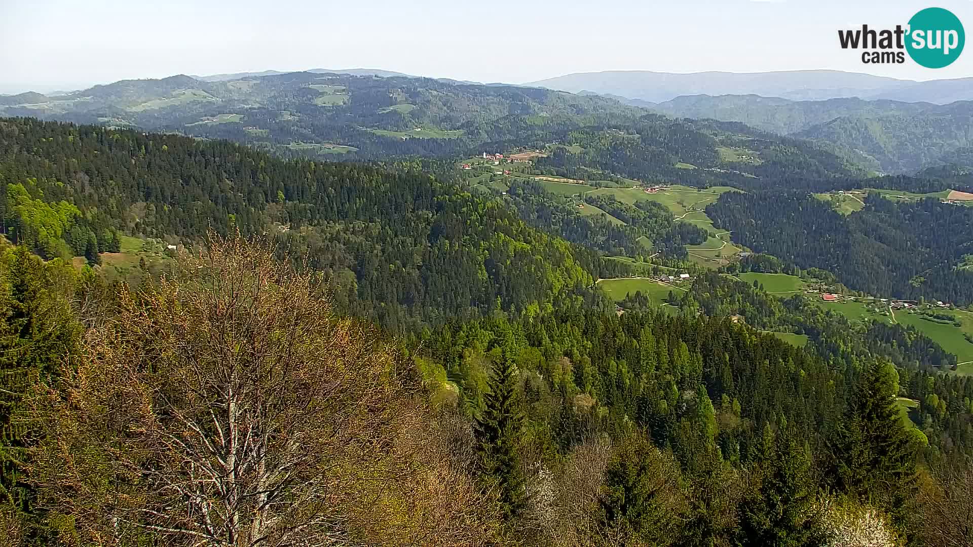 Kapunar Webcam – Radlje ob Dravi