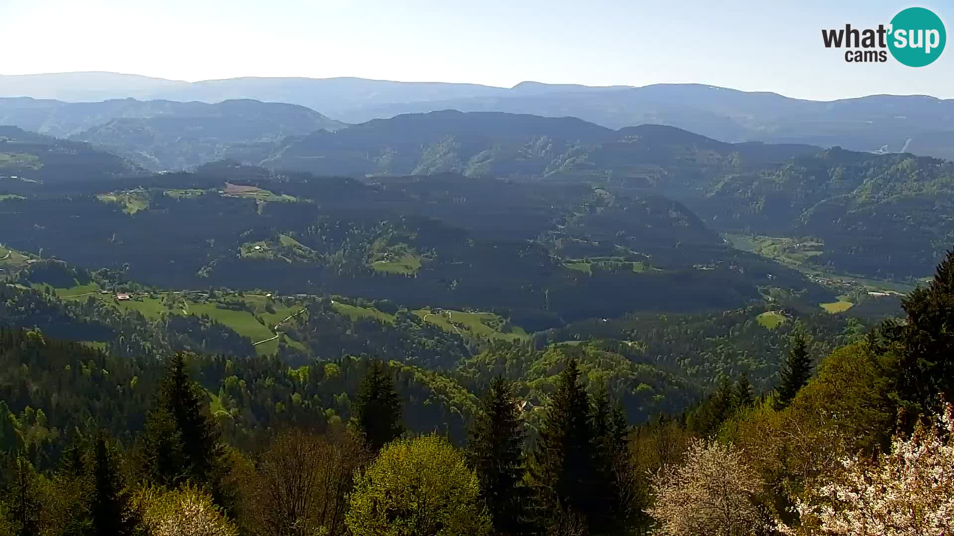 Webcam Kapunar – Radlje ob Dravi