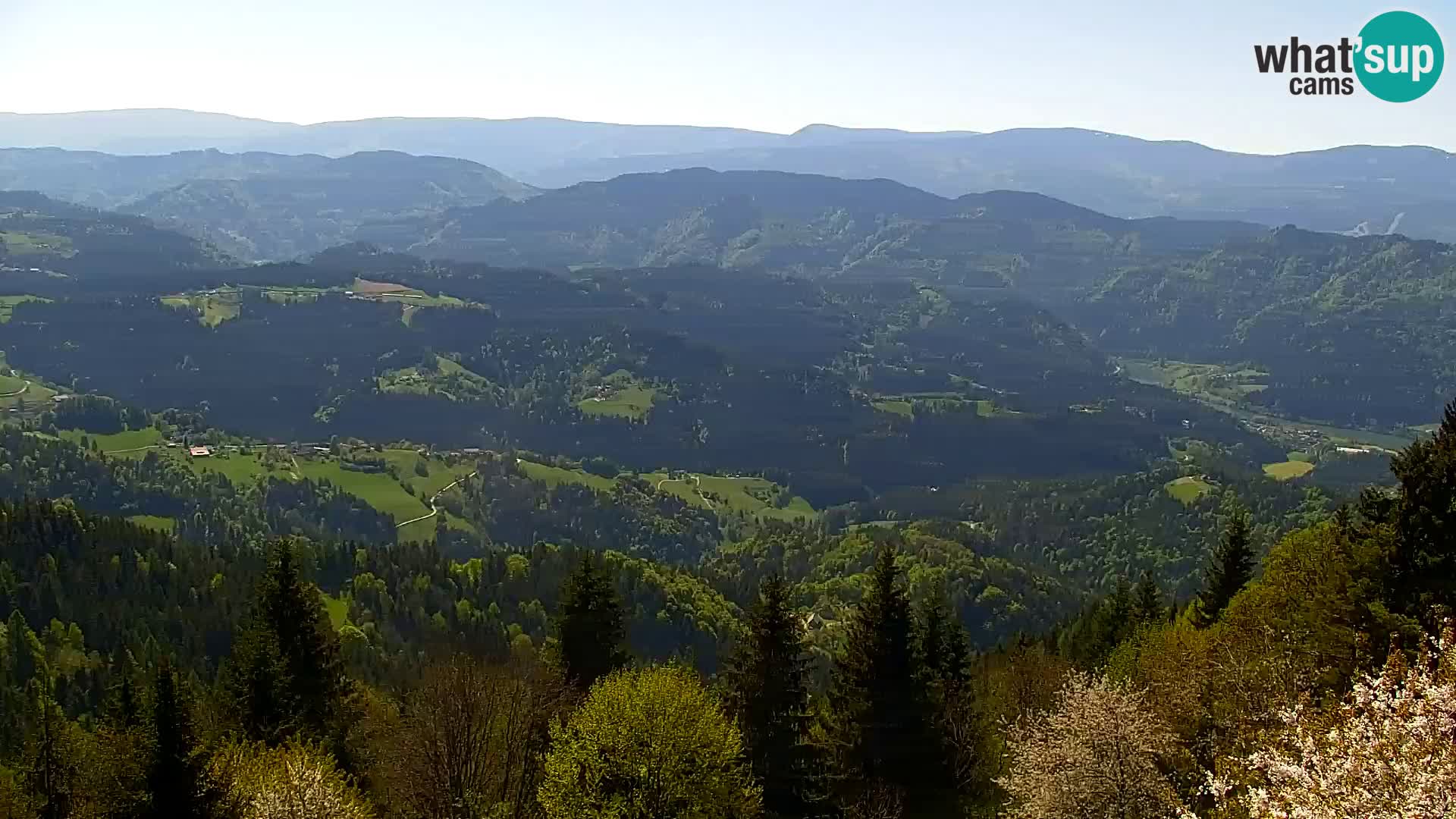 Webcam Kapunar – Radlje ob Dravi