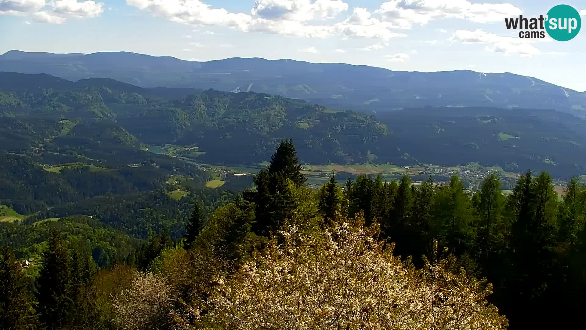 Kapunar Webcam – Radlje ob Dravi