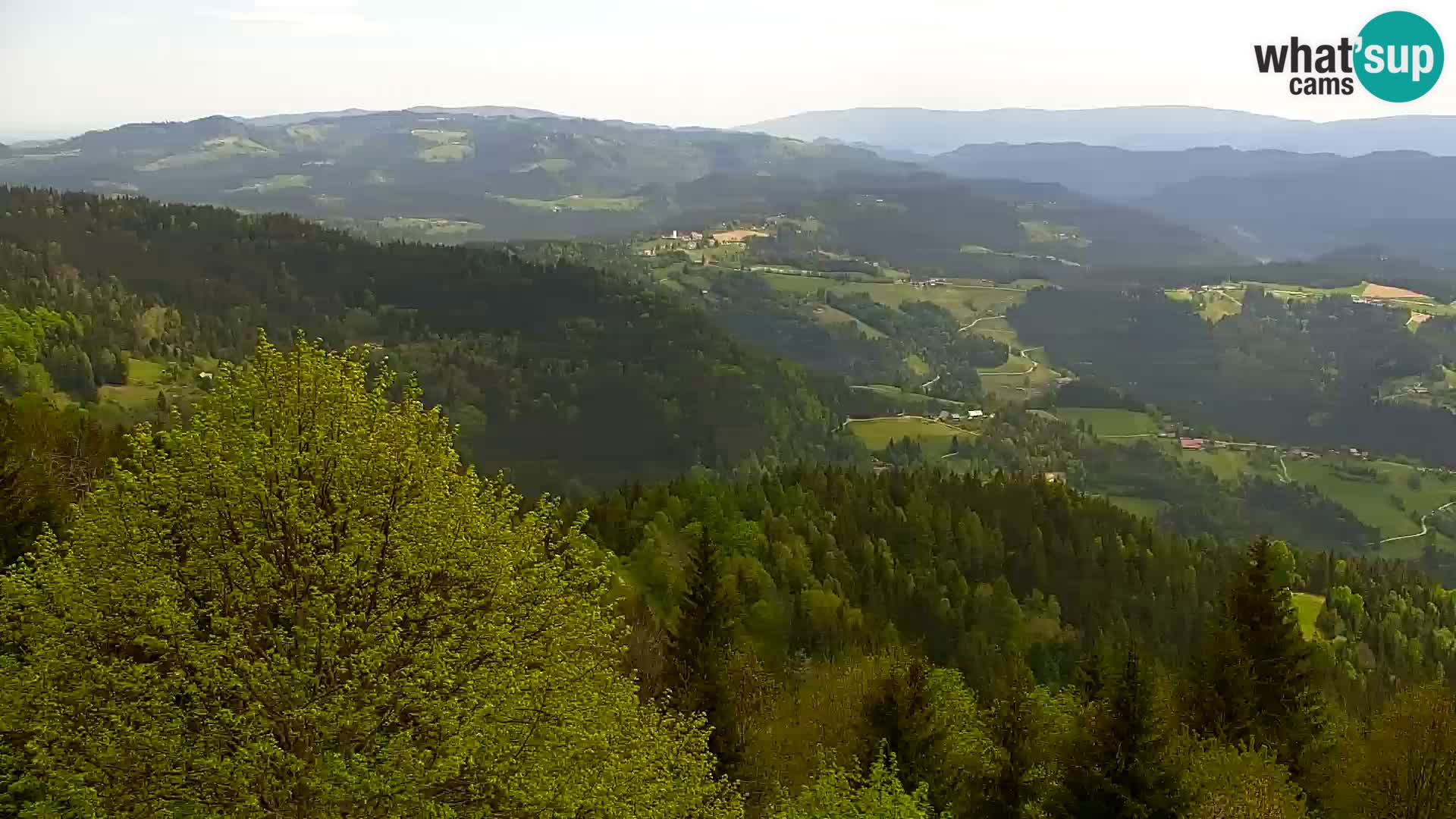 Live cam Kapunar – Radlje ob Dravi