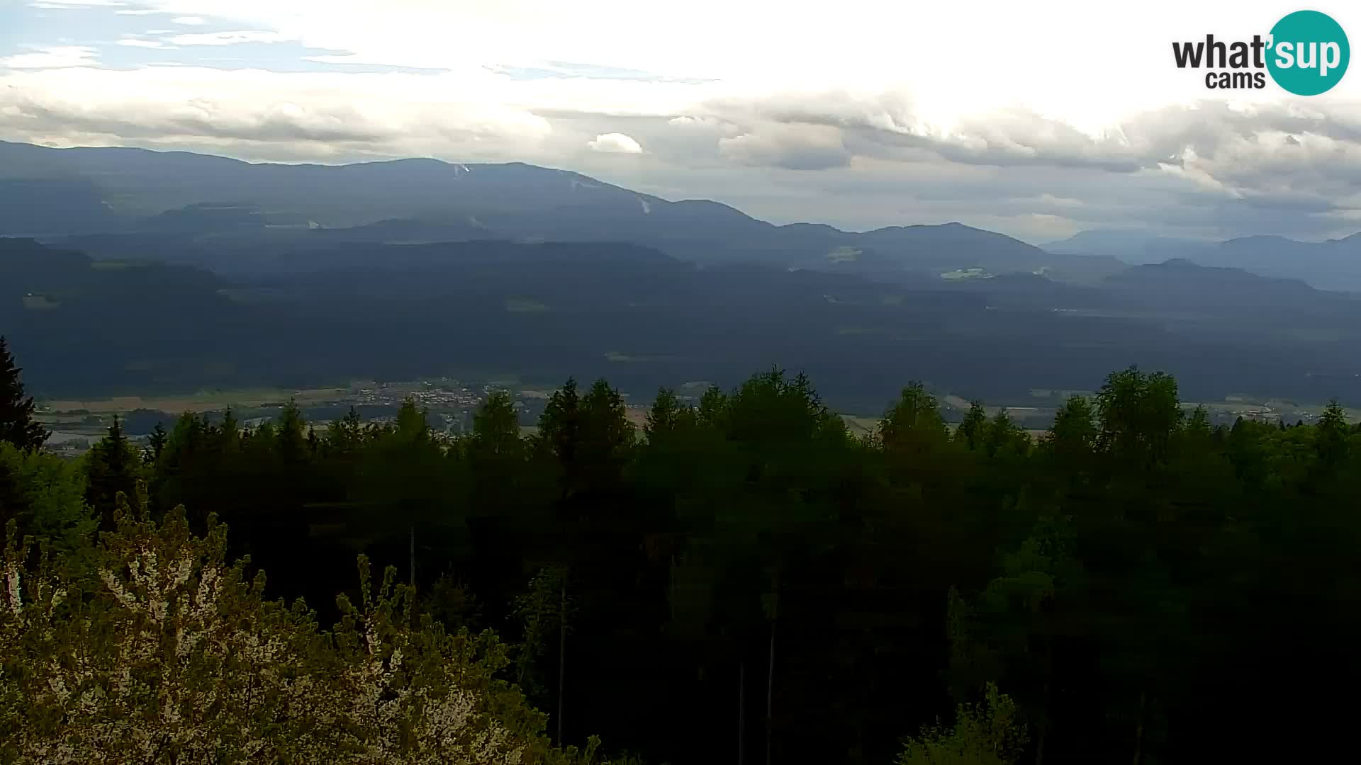 Kapunar Webcam – Radlje ob Dravi
