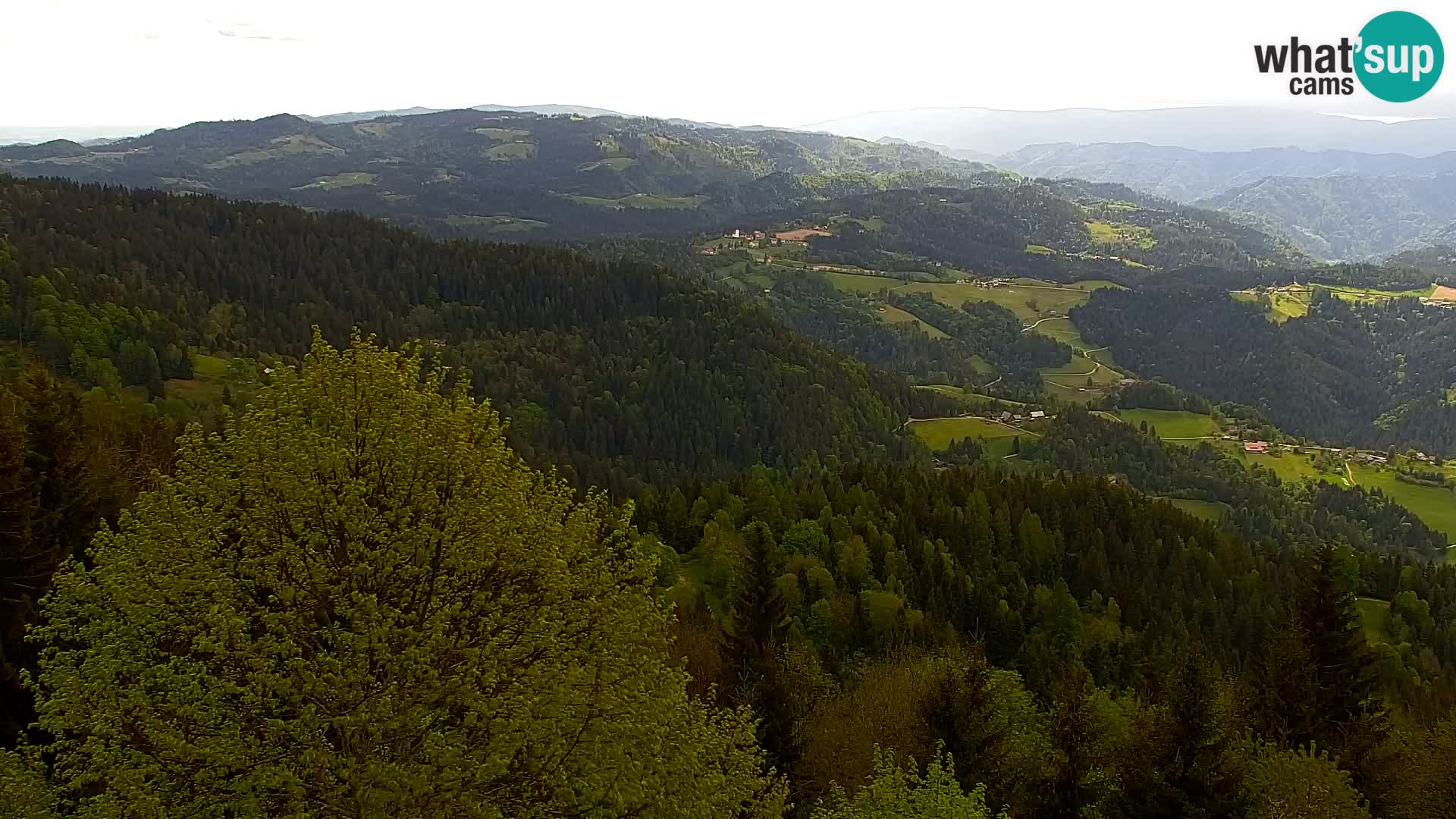 Kapunar Webcam – Radlje ob Dravi