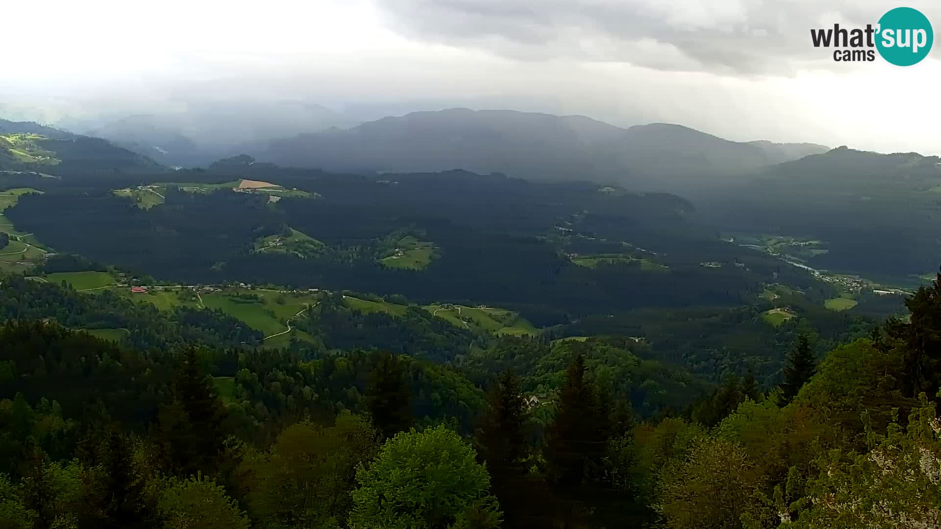 Live cam Kapunar – Radlje ob Dravi