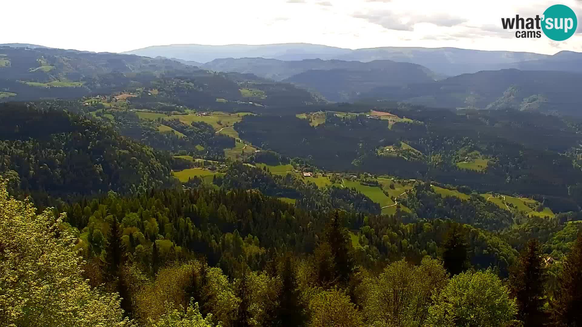 Kapunar Webcam – Radlje ob Dravi