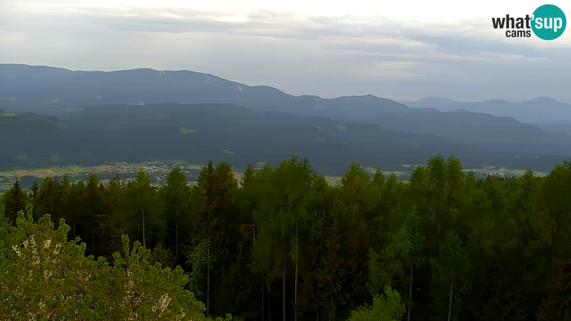 Kapunar Web kamera – Radlje ob Dravi