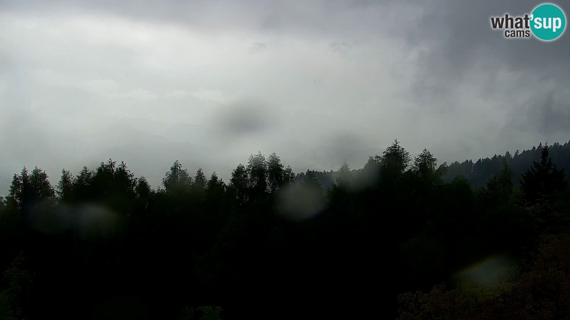 Webcam Kapunar – Radlje ob Dravi