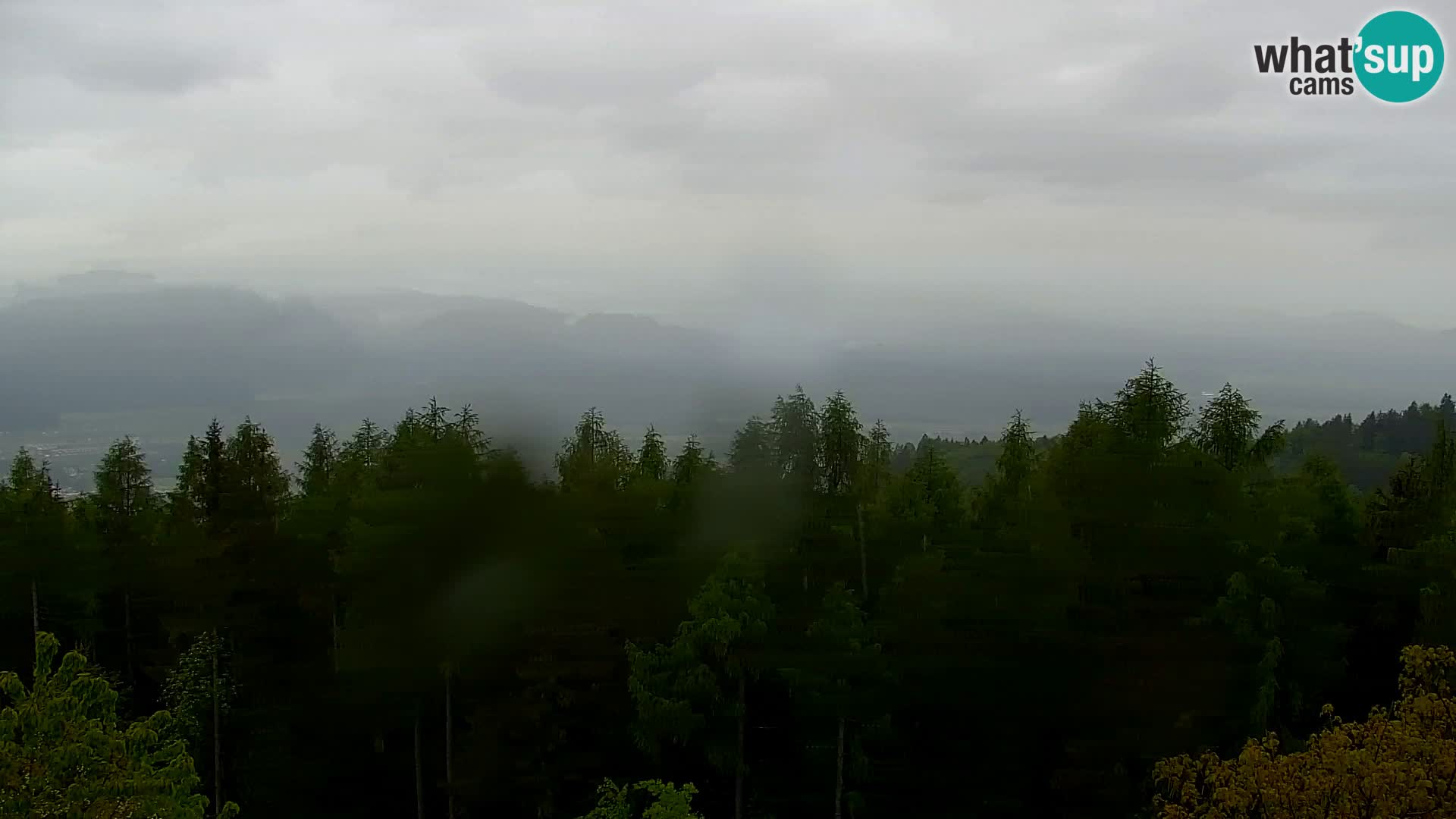 Webcam Kapunar – Radlje ob Dravi