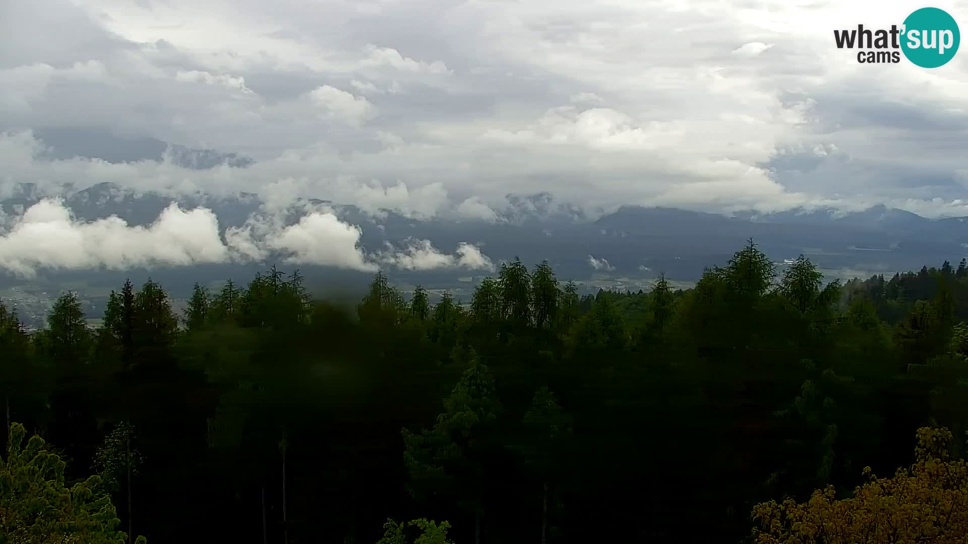 Webcam Kapunar – Radlje ob Dravi