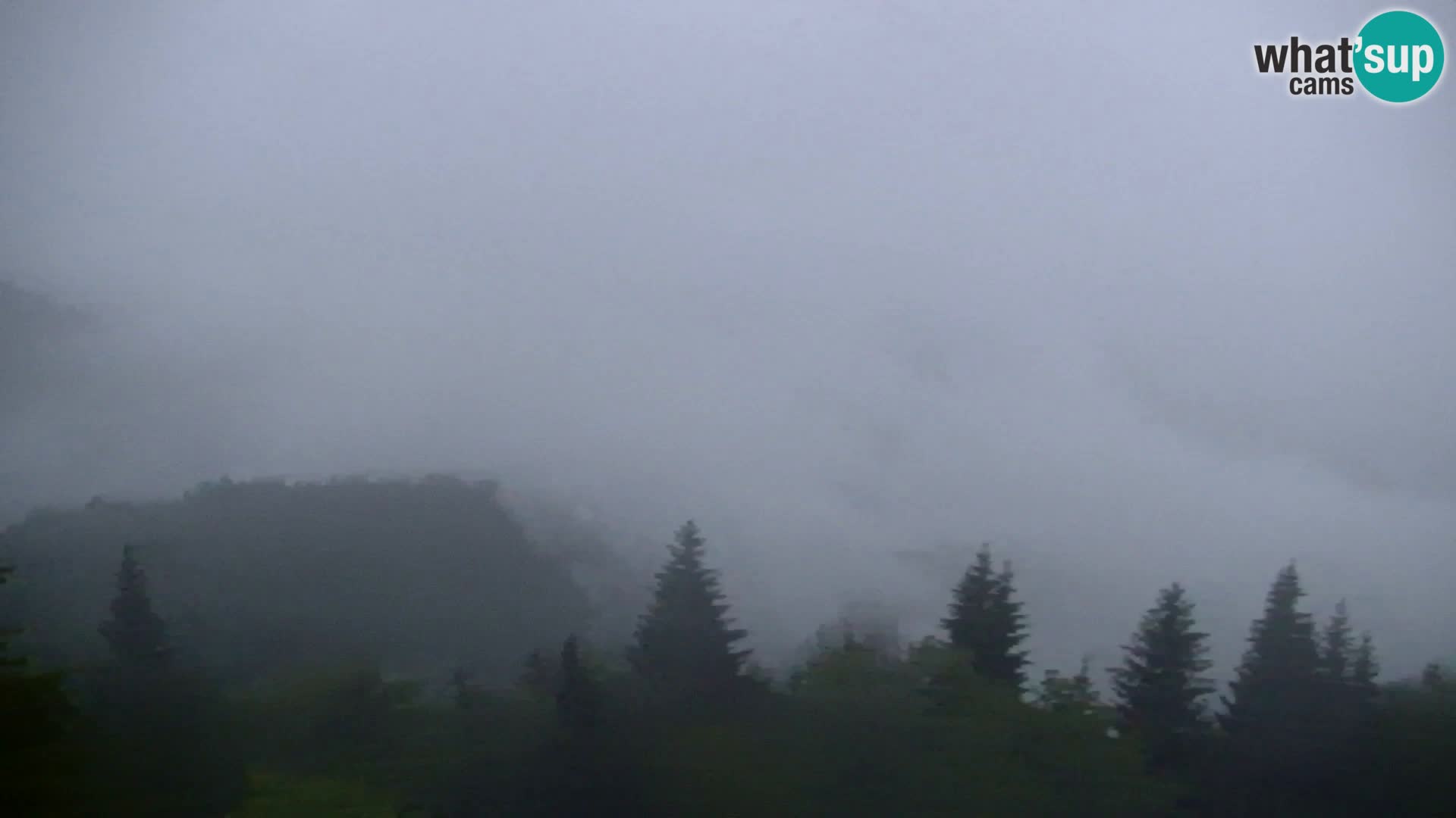 Webcam Kapunar – Radlje ob Dravi