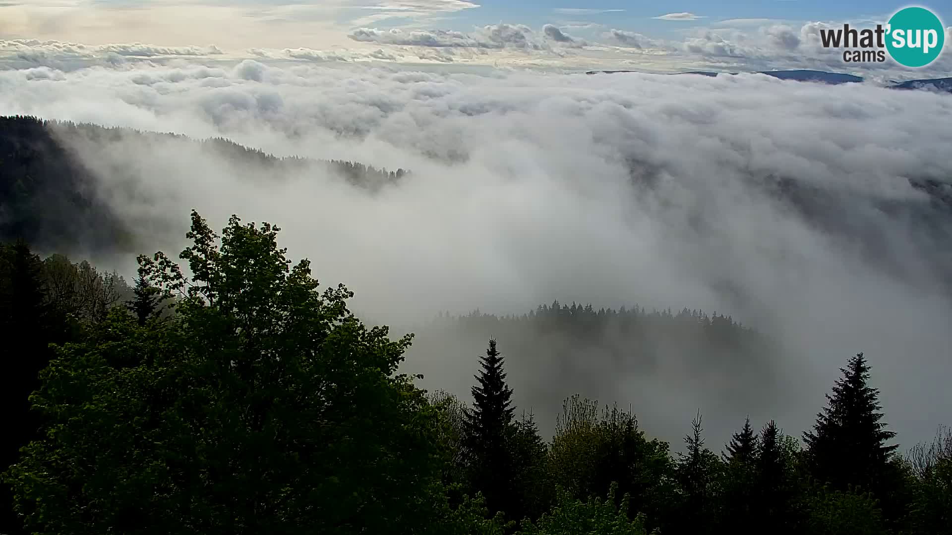 Webcam Kapunar – Radlje ob Dravi