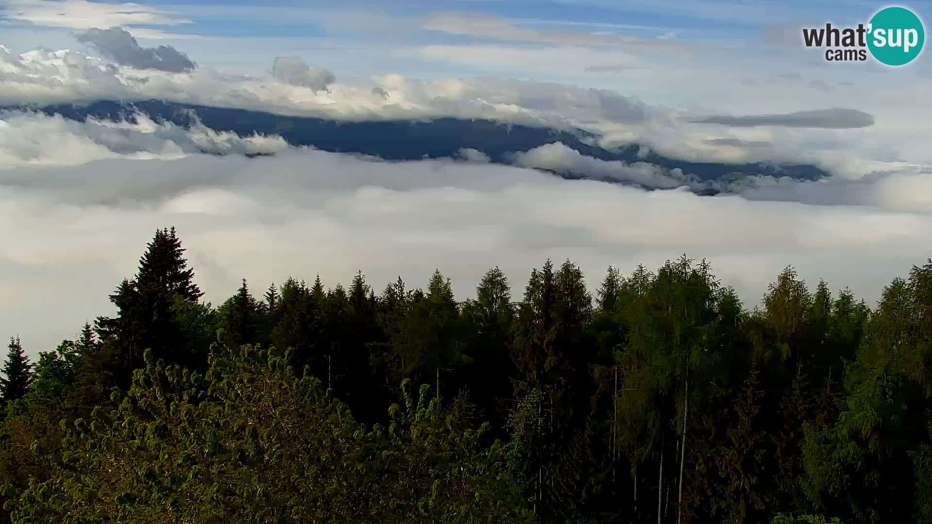 Kapunar Webcam – Radlje ob Dravi