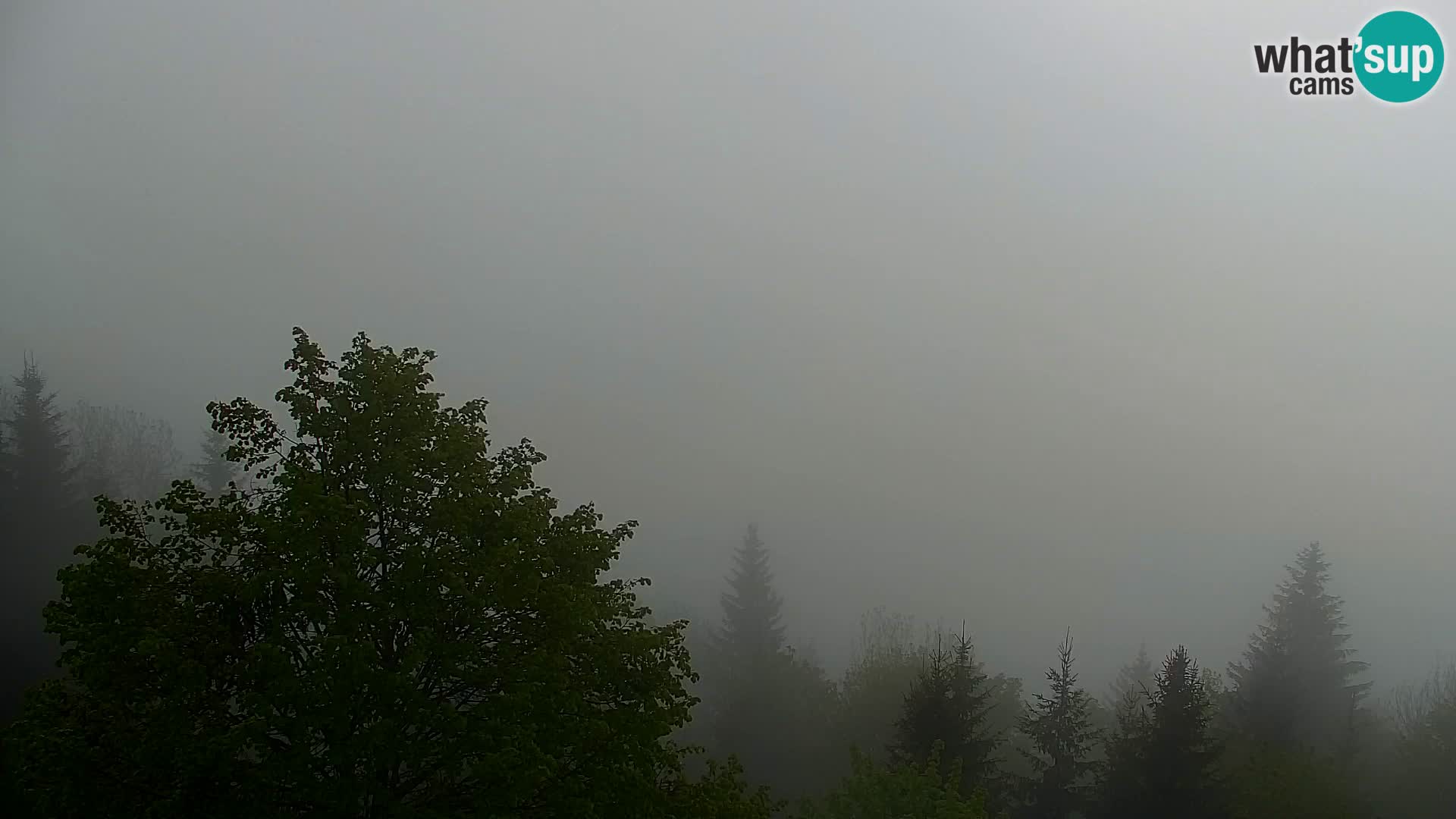 Webcam Kapunar – Radlje ob Dravi