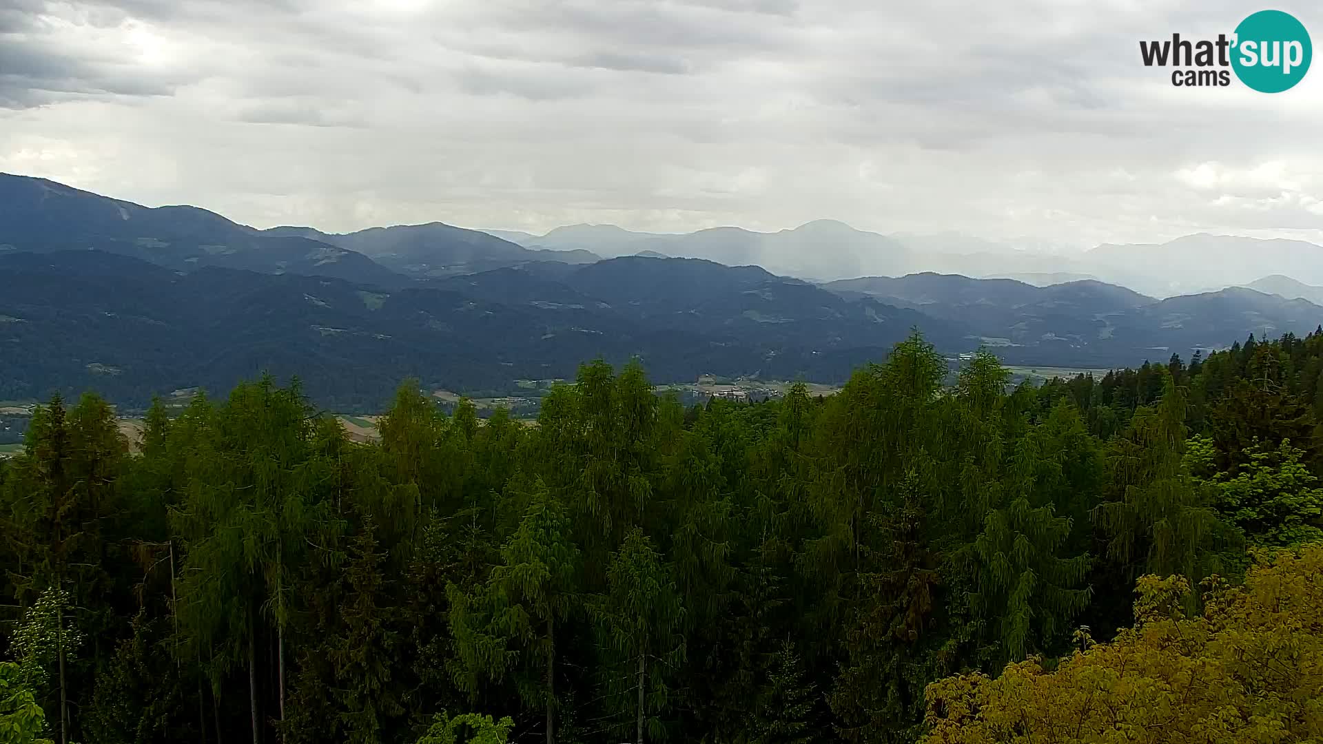 Kapunar Webcam – Radlje ob Dravi