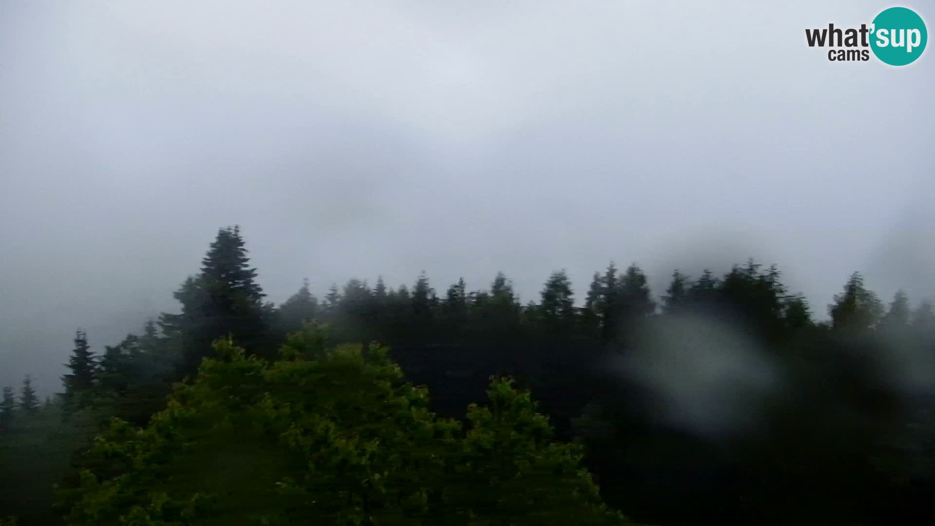 Webcam Kapunar – Radlje ob Dravi