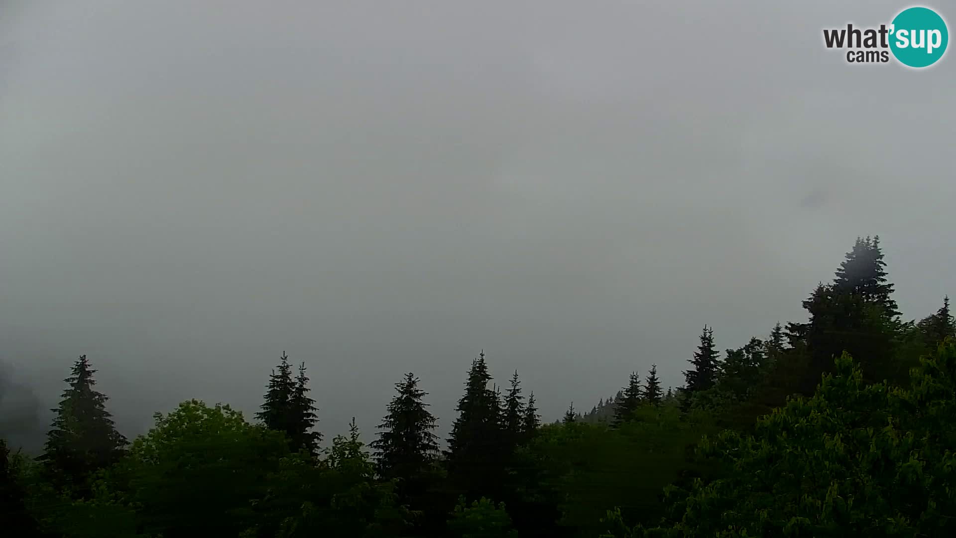 Kapunar Webcam – Radlje ob Dravi