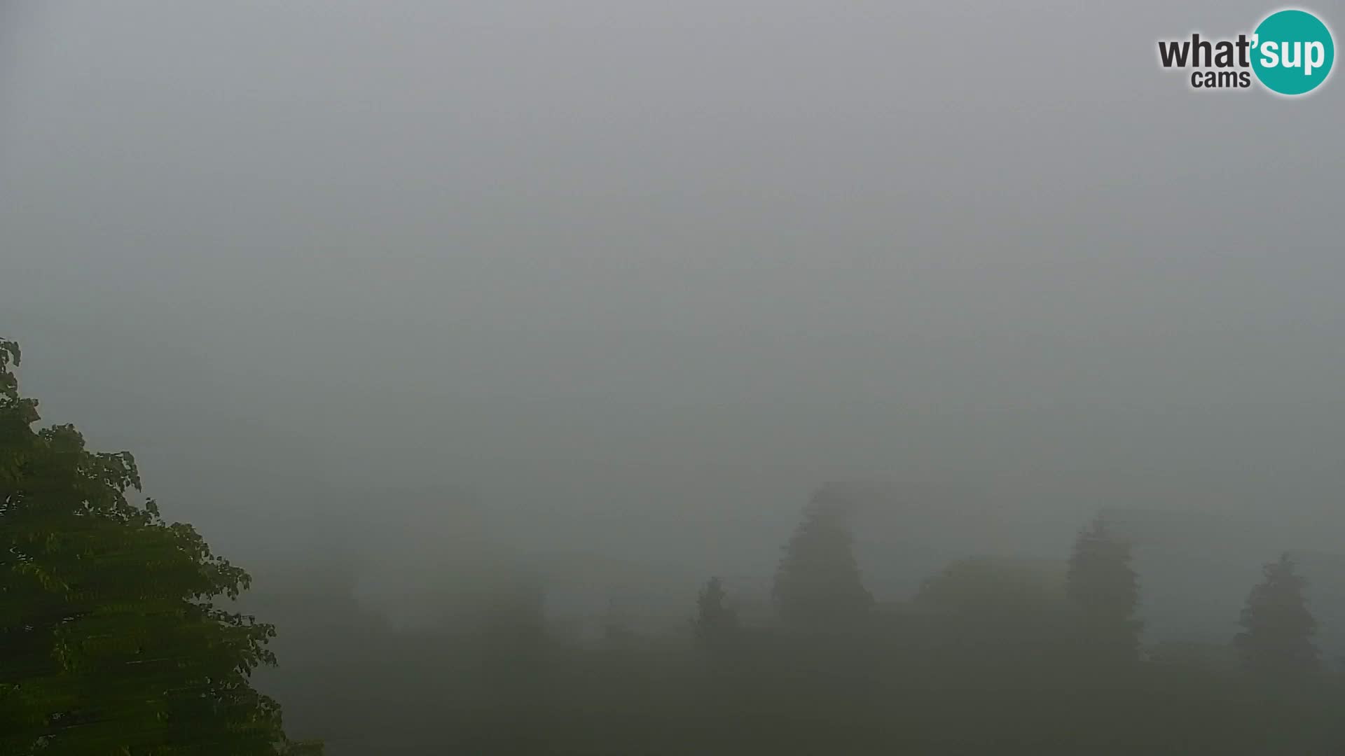 Kapunar Webcam – Radlje ob Dravi