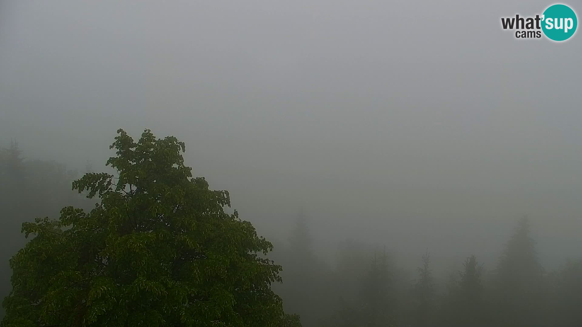 Webcam Kapunar – Radlje ob Dravi