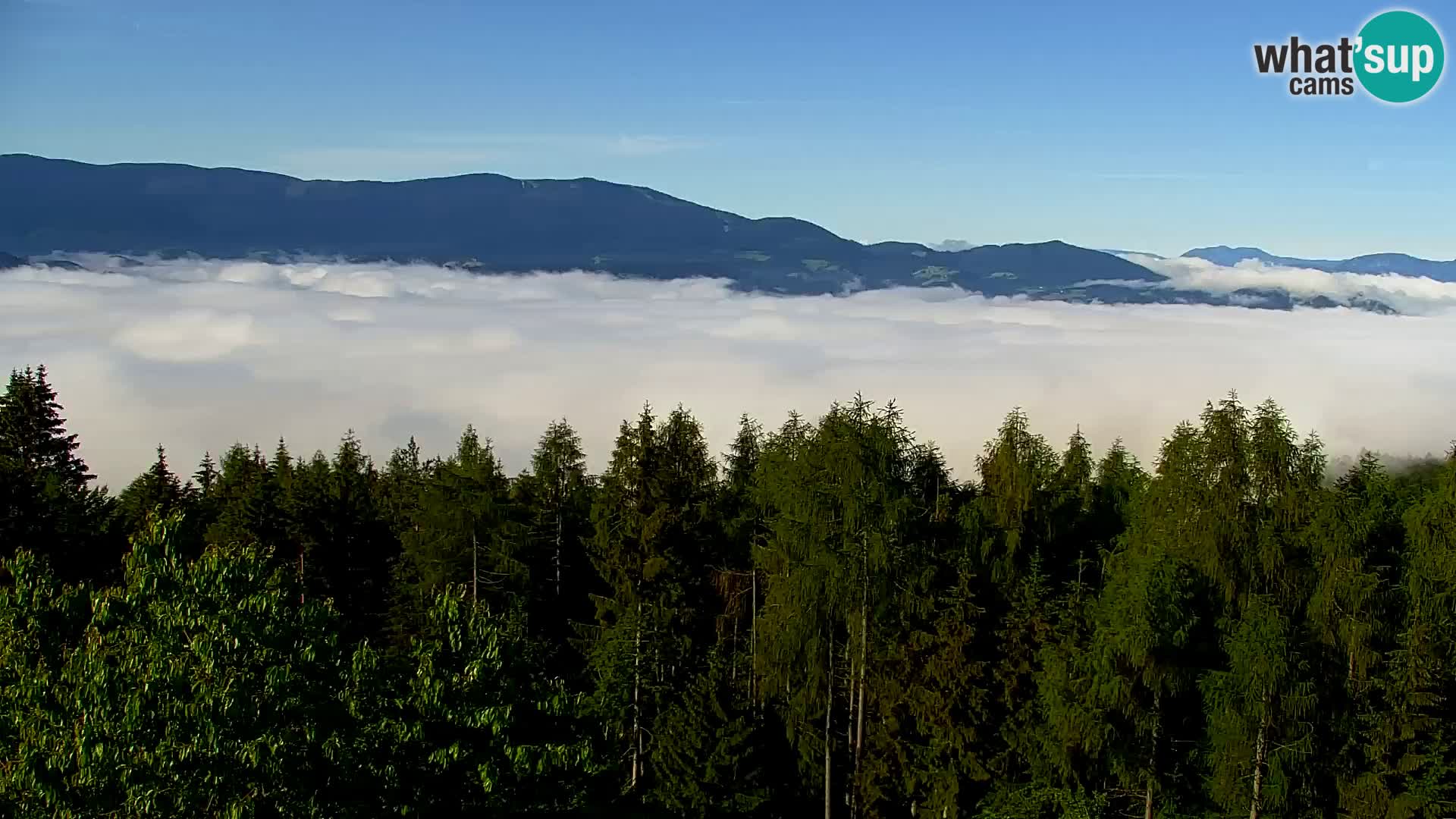 Webcam Kapunar – Radlje ob Dravi