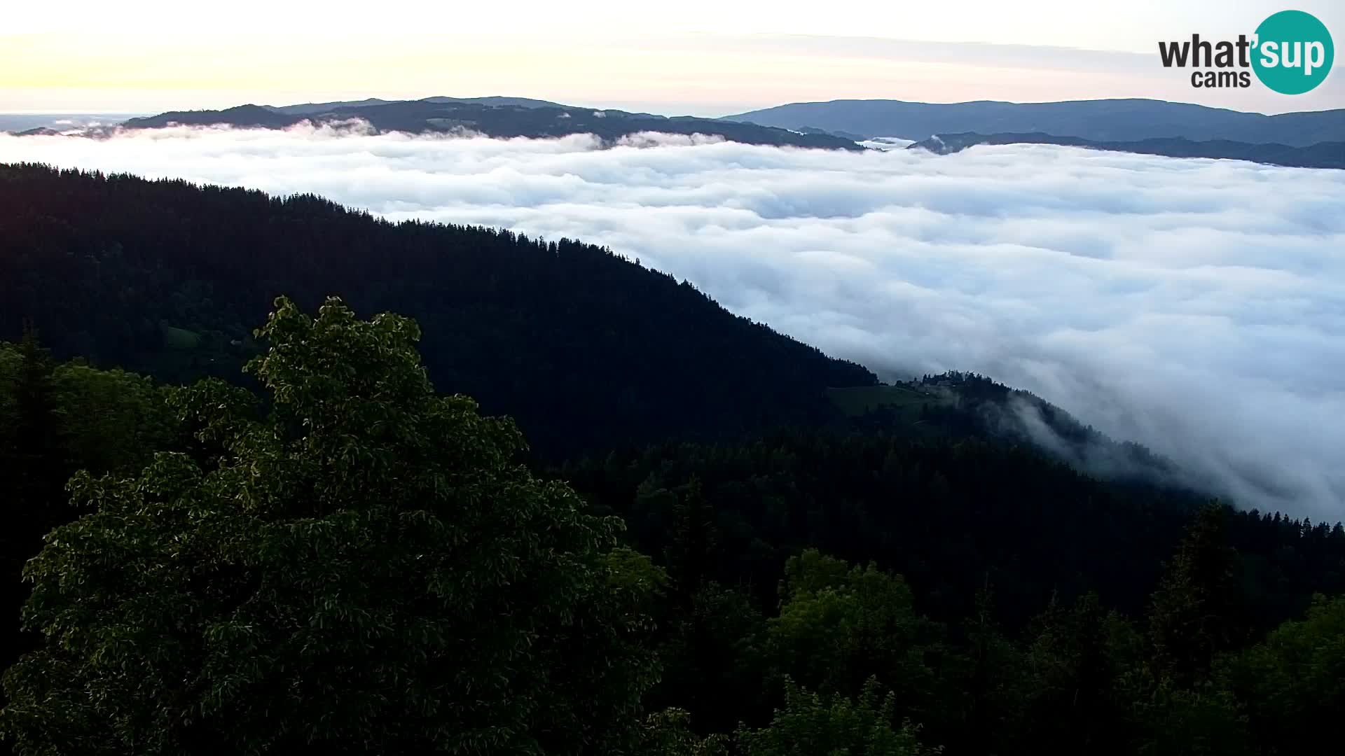 Webcam Kapunar – Radlje ob Dravi