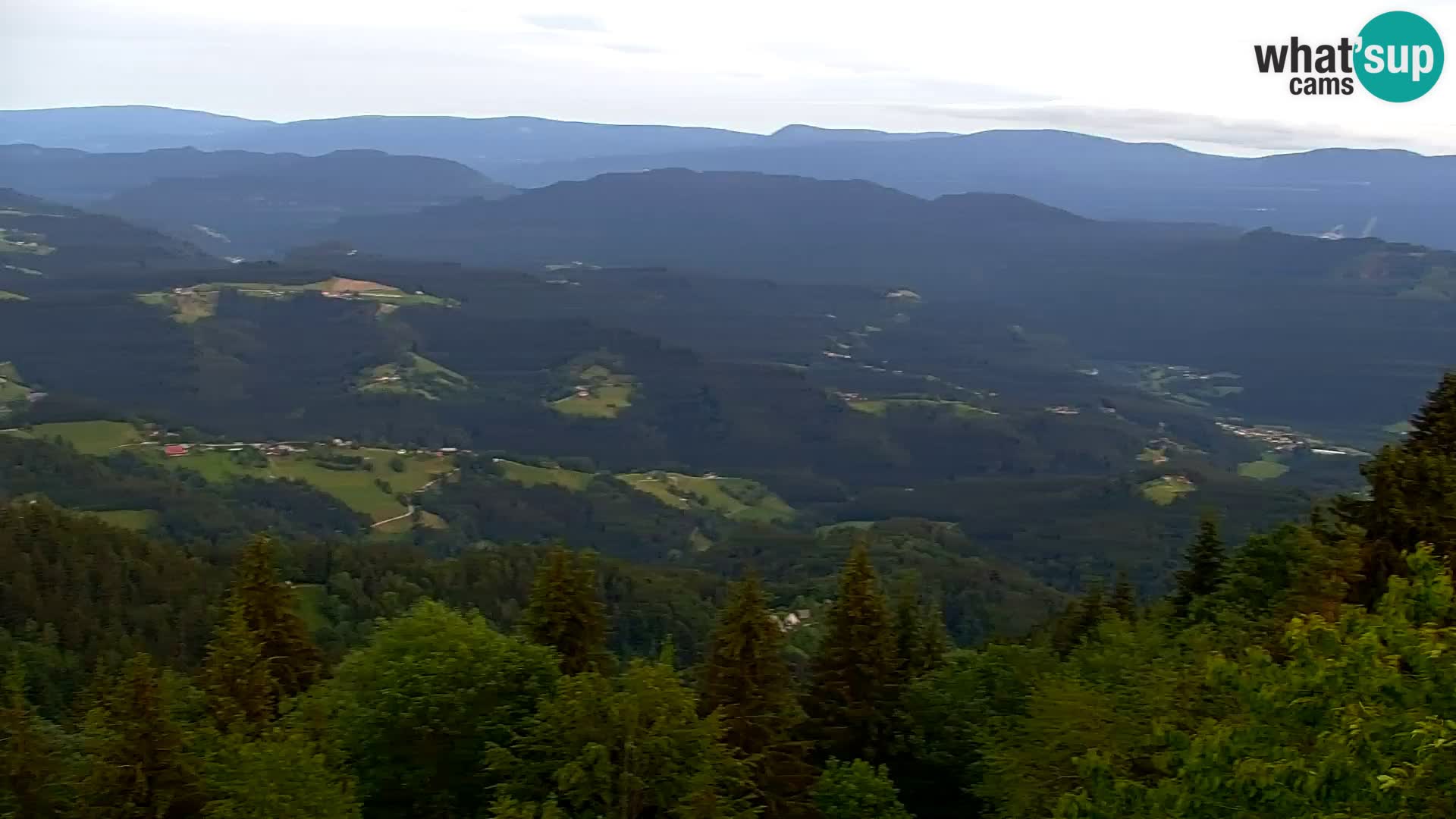 Kapunar Webcam – Radlje ob Dravi