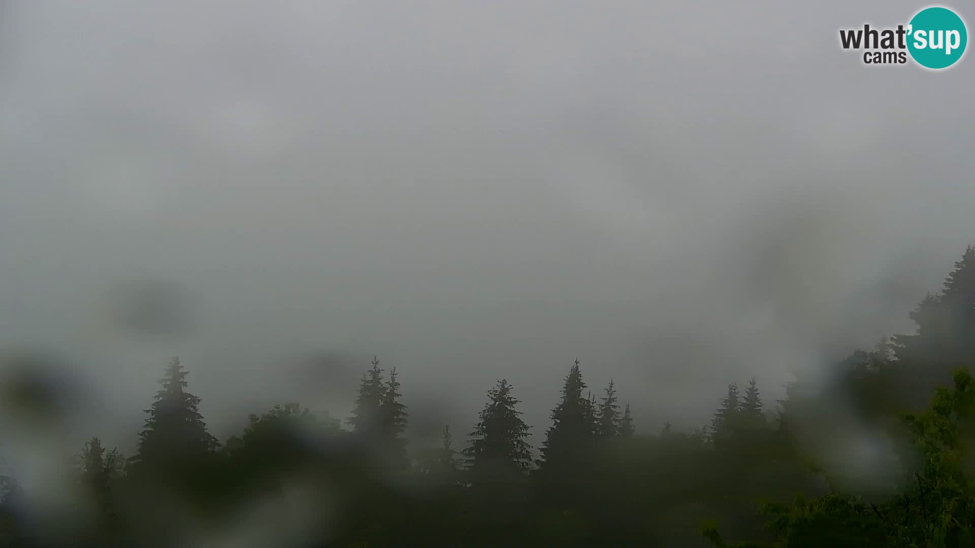 Webcam Kapunar – Radlje ob Dravi