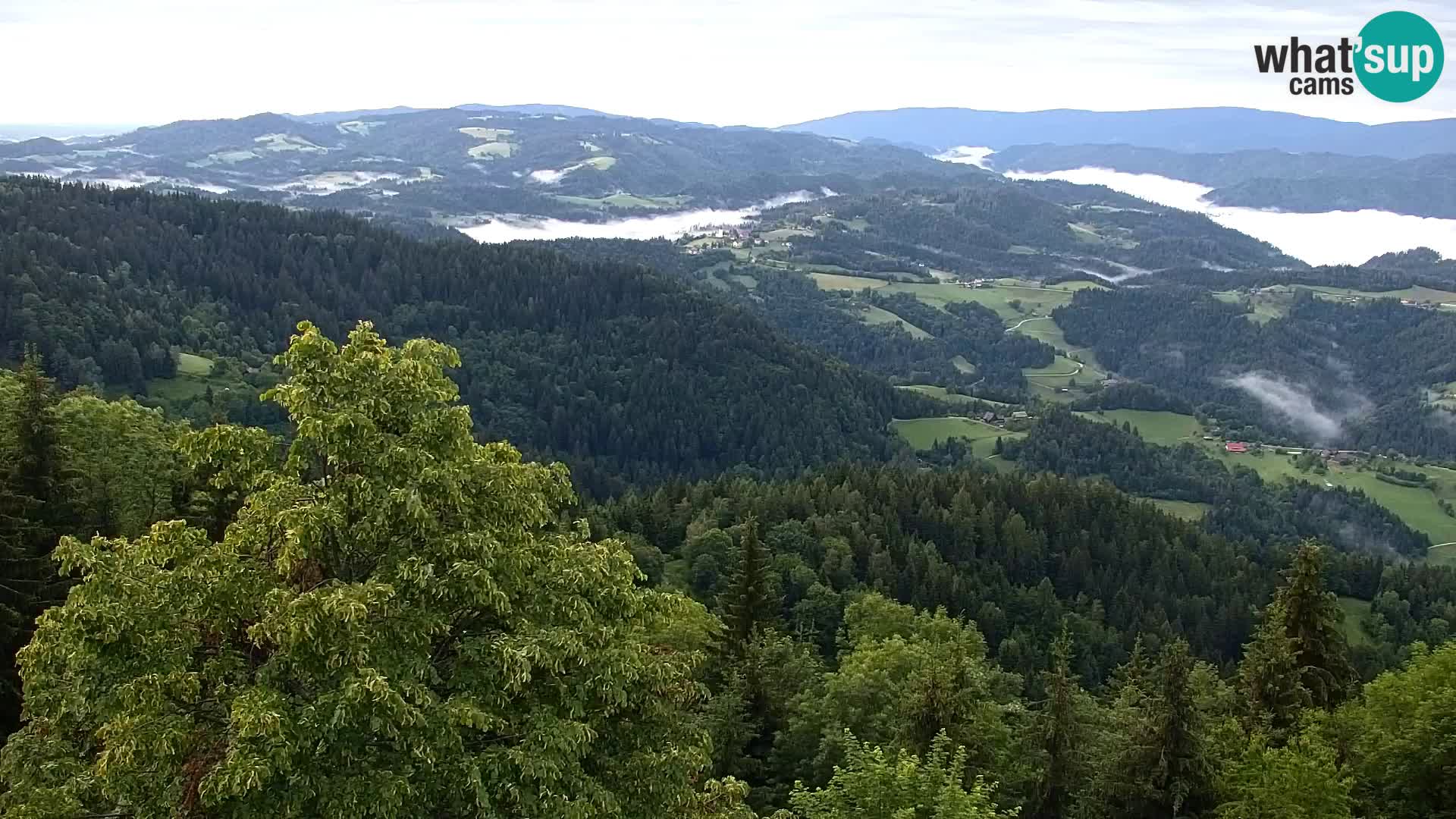 Kapunar Webcam – Radlje ob Dravi