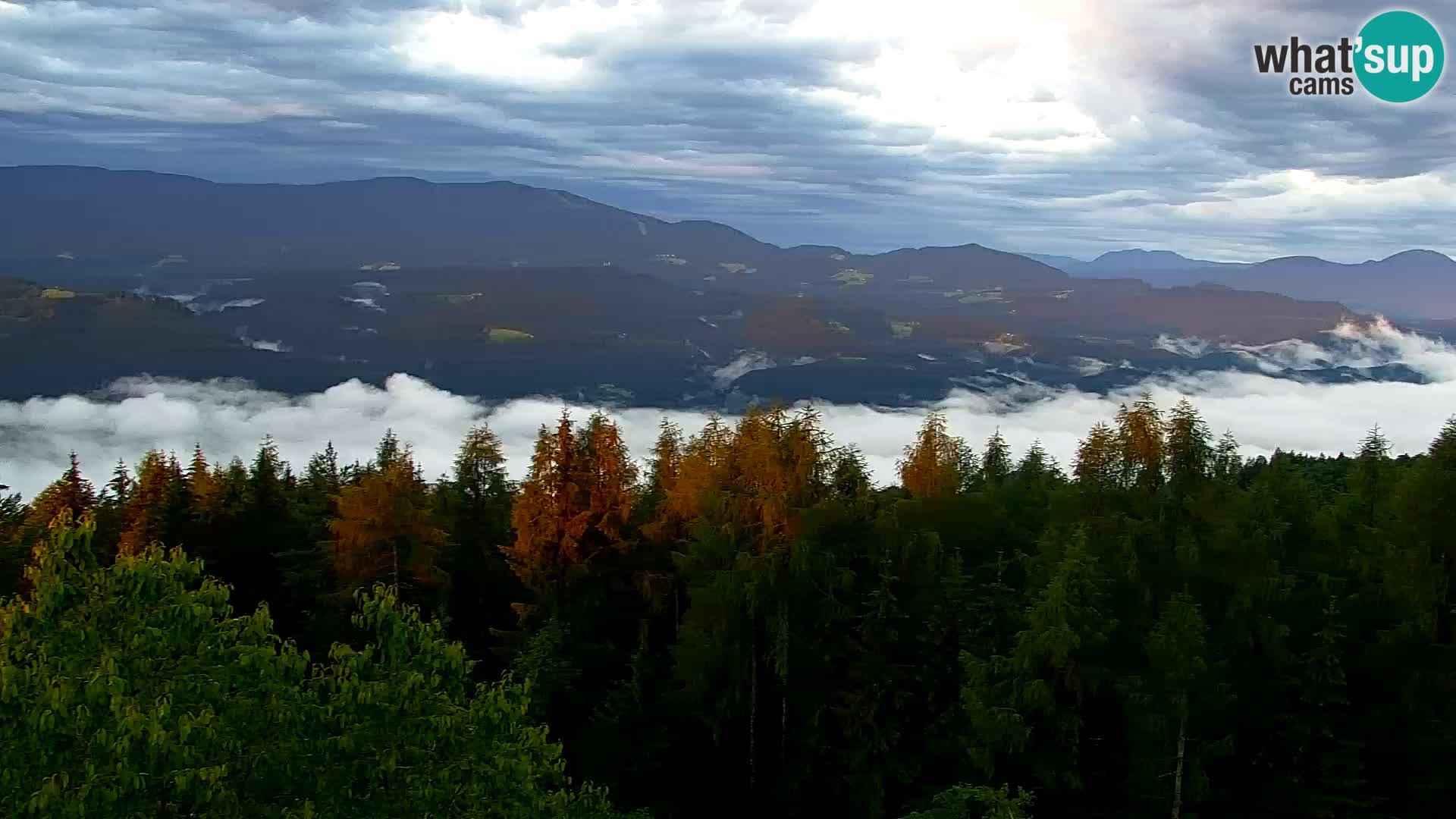 Live cam Kapunar – Radlje ob Dravi