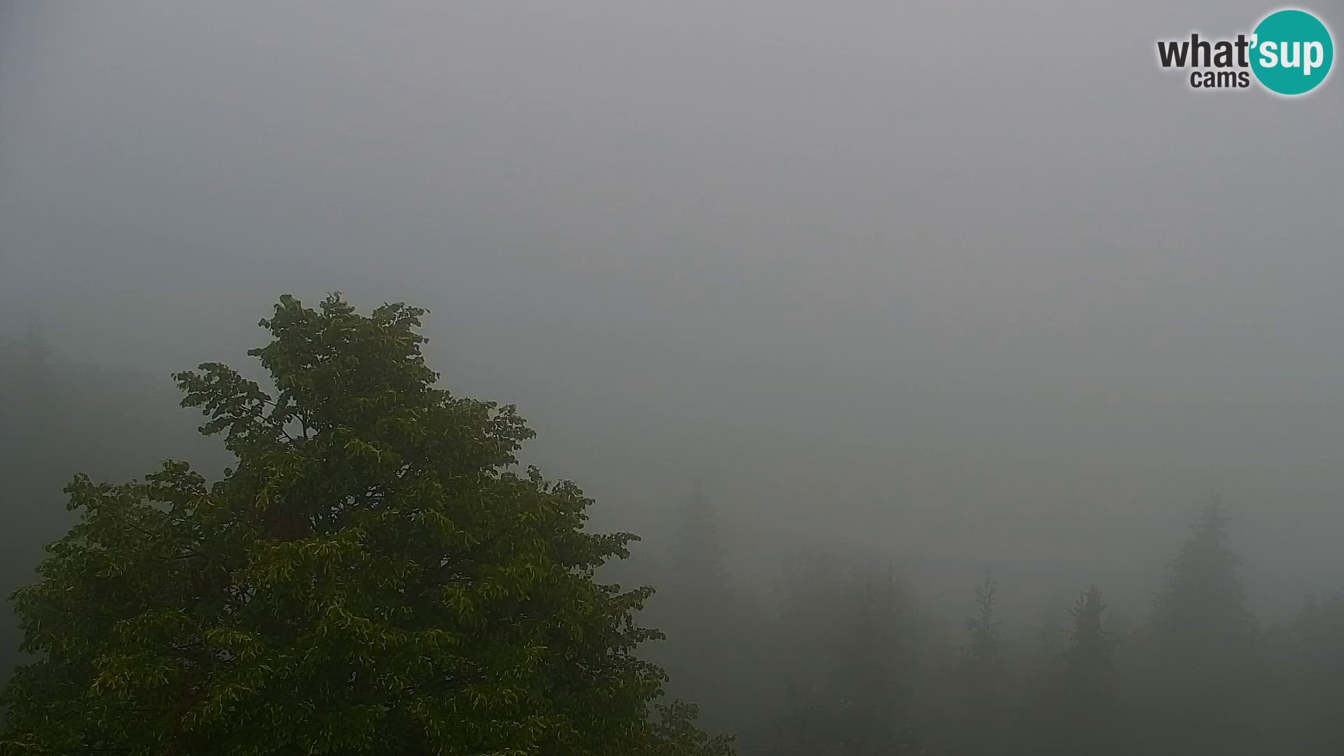 Webcam Kapunar – Radlje ob Dravi