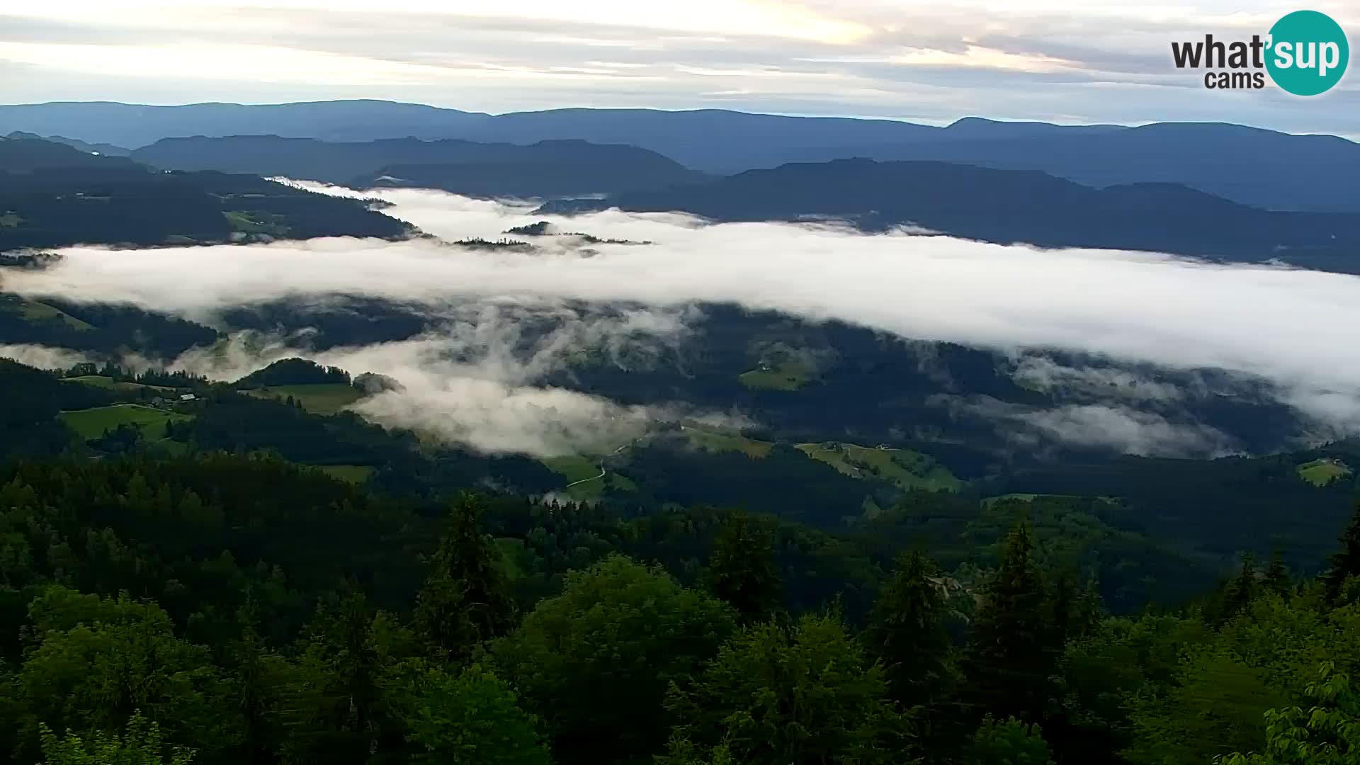 Live cam Kapunar – Radlje ob Dravi