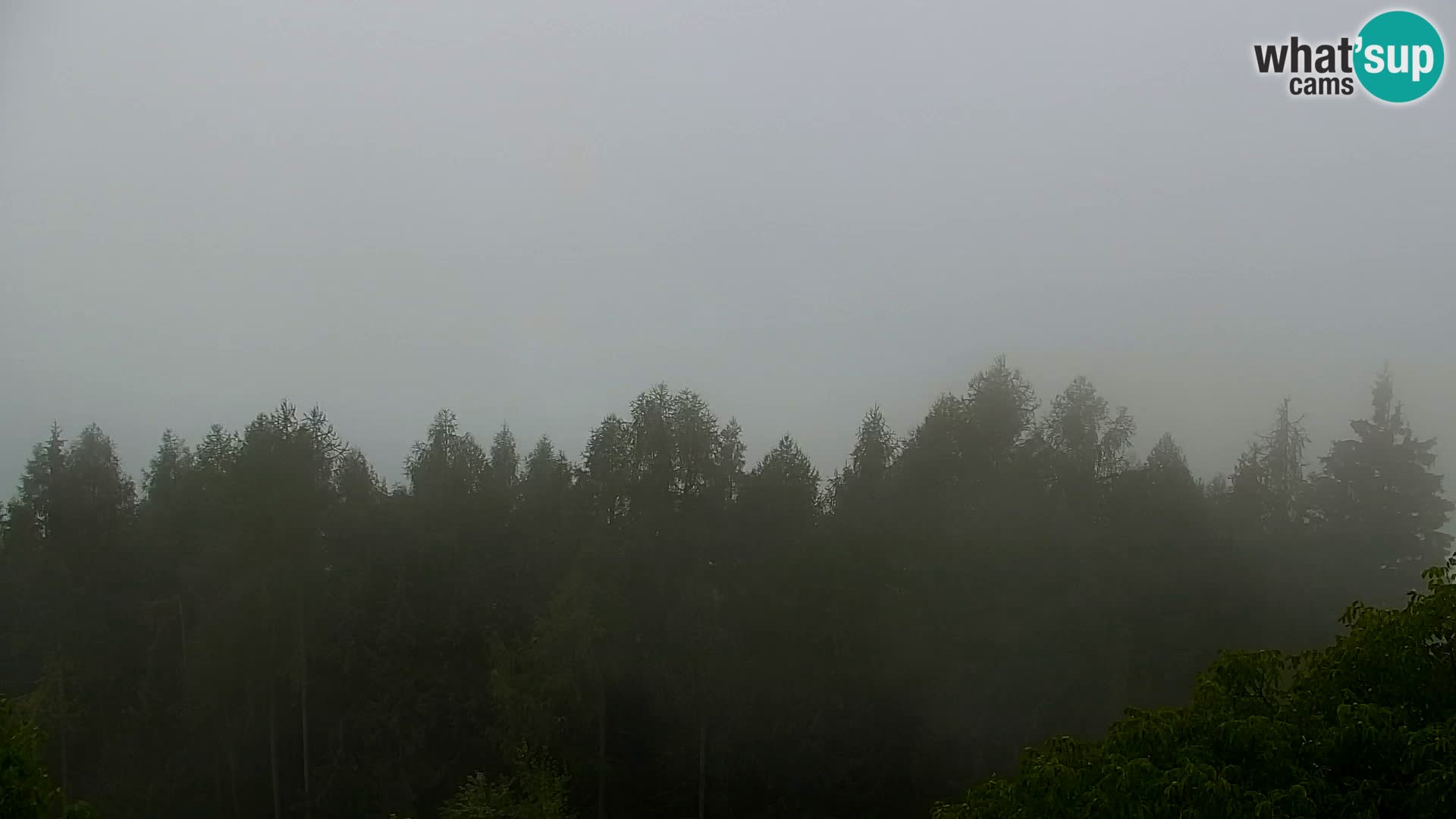 Webcam Kapunar – Radlje ob Dravi