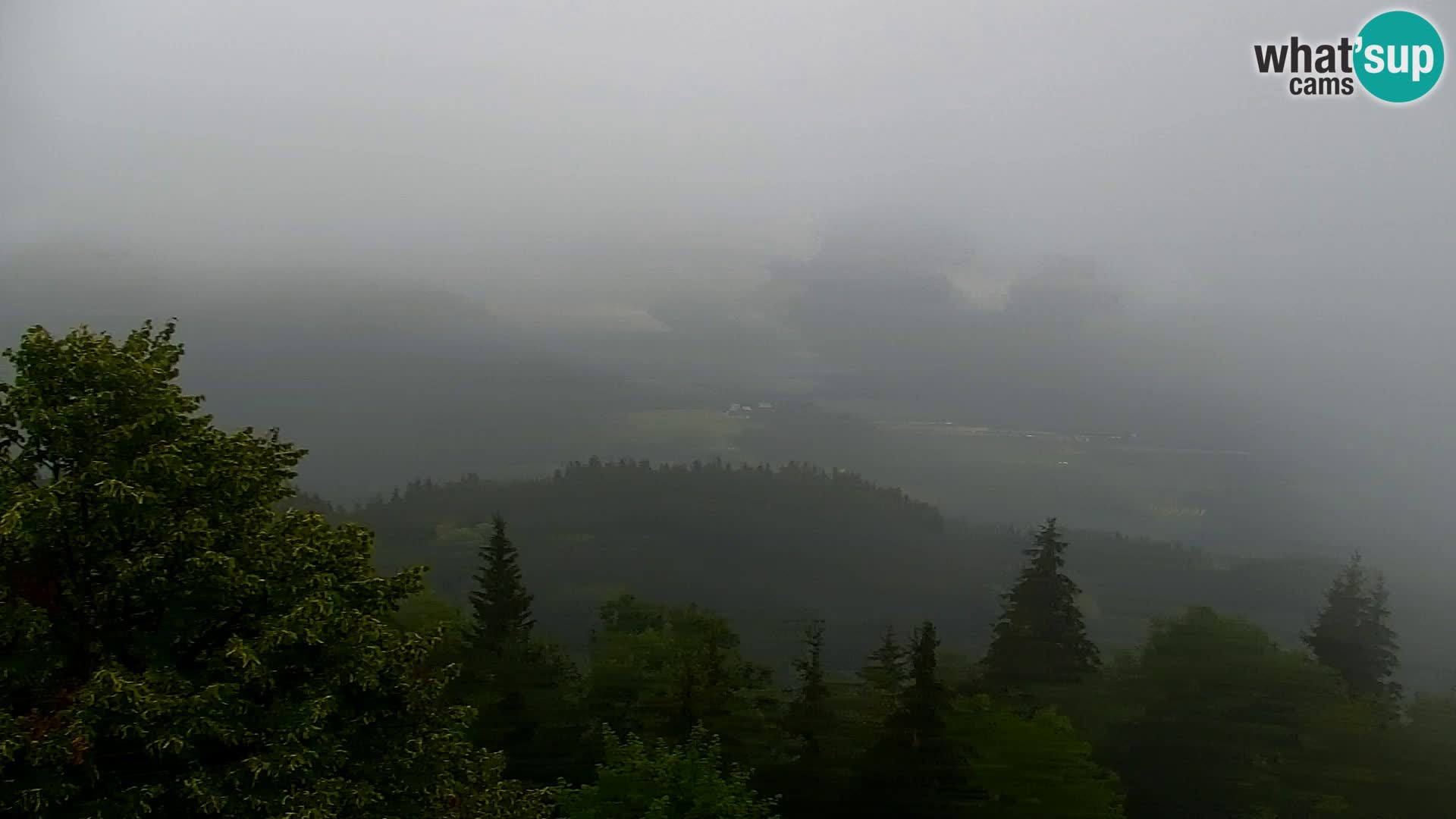 Live cam Kapunar – Radlje ob Dravi