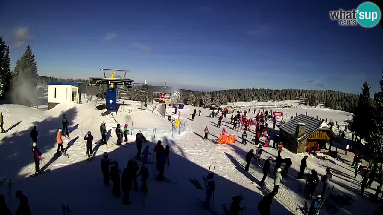 Live Webcam Rogla – Planja – Slovenia Ski resort