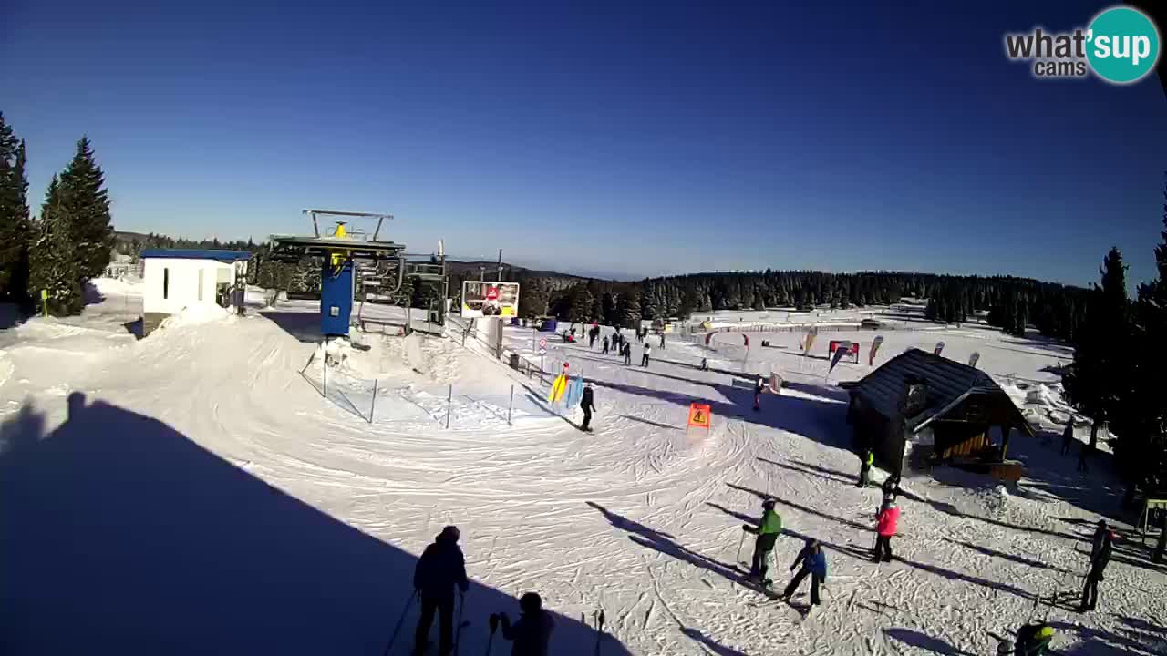 Live Webcam Rogla – Planja – Slovenia Ski resort