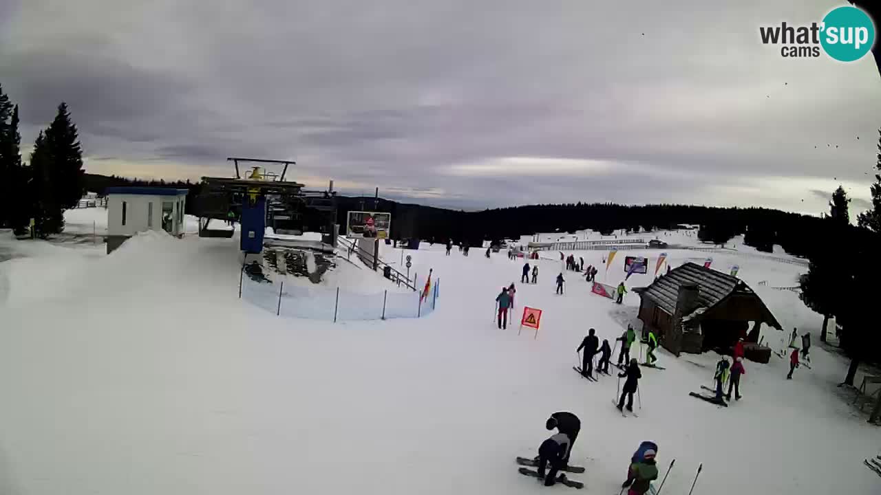 Live Webcam Rogla – Planja – Slovenia Ski resort