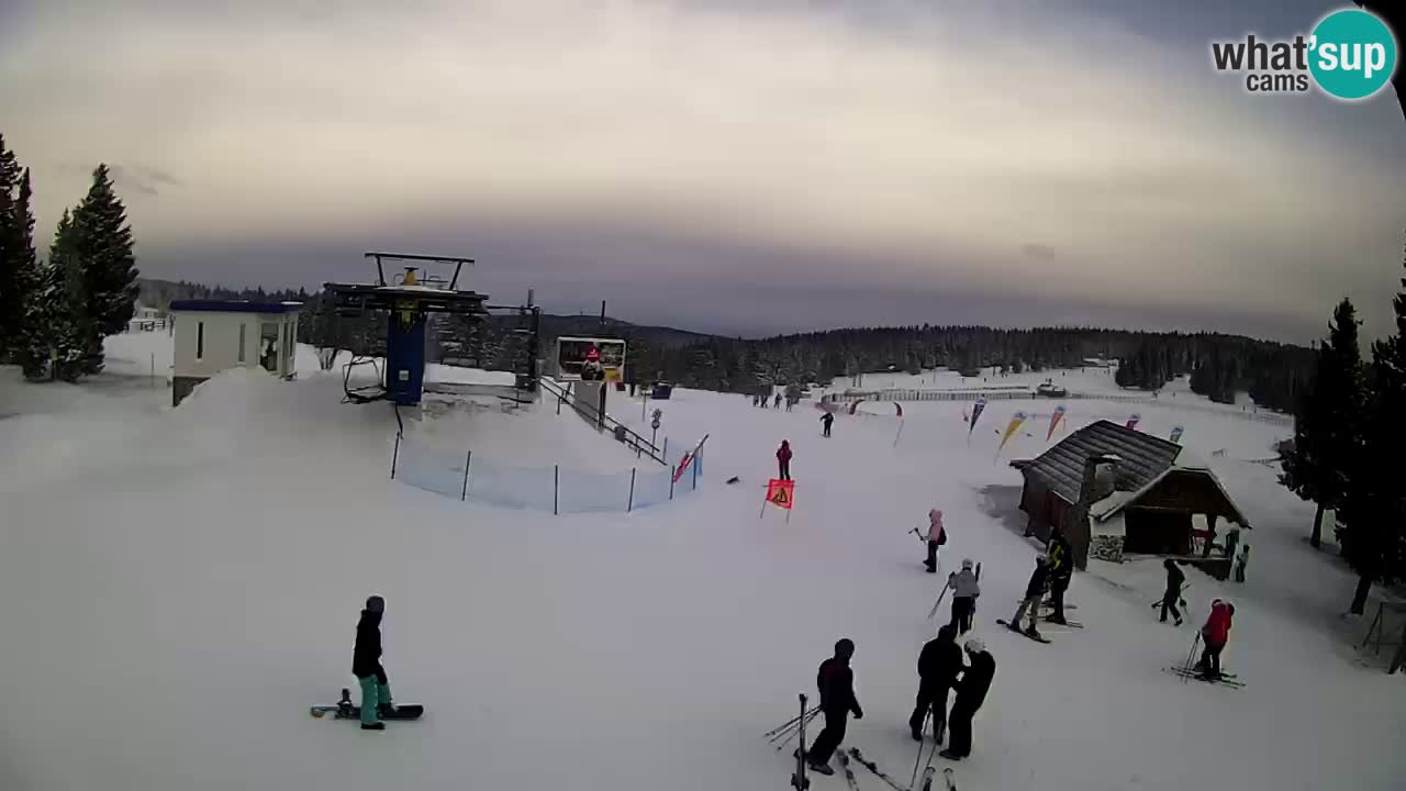 Live Webcam Rogla – Planja – Slovenia Ski resort