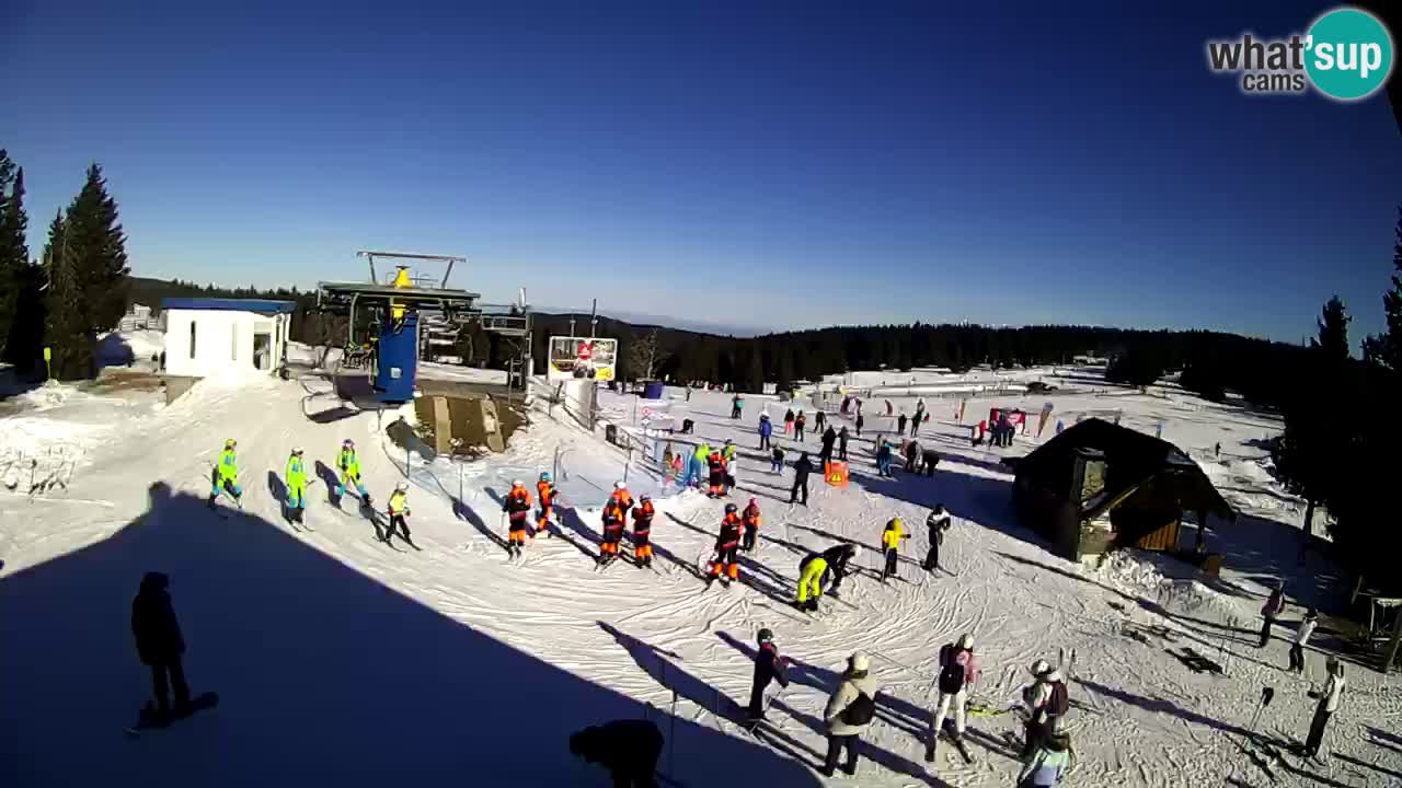 Live Webcam Rogla – Planja – Slovenia Ski resort