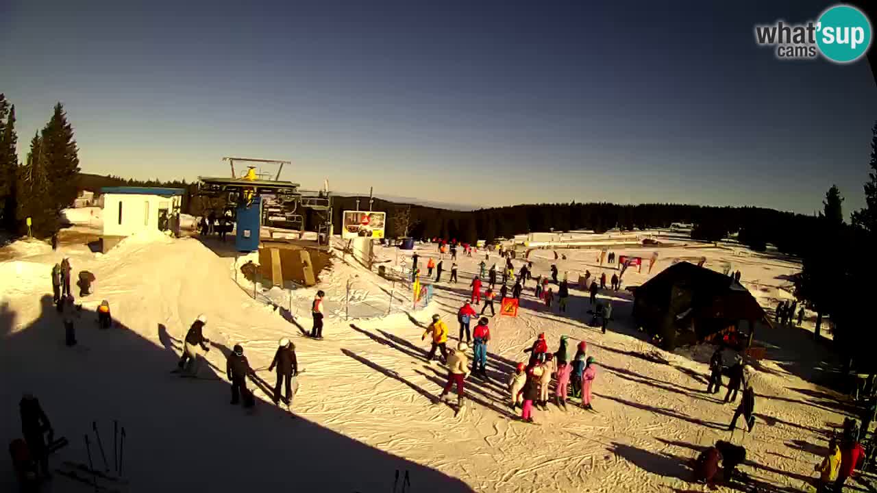 Live Webcam Rogla – Planja – Slovenia Ski resort