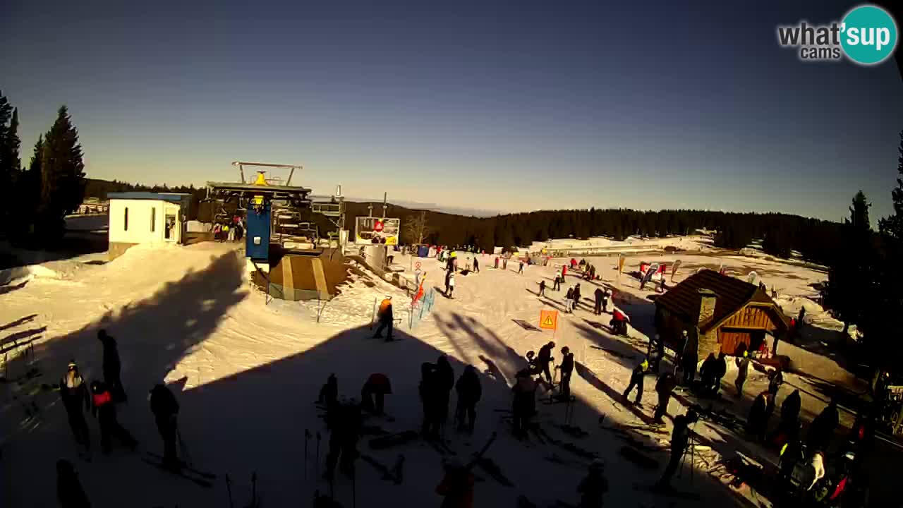 Live Webcam Rogla – Planja – Slovenia Ski resort