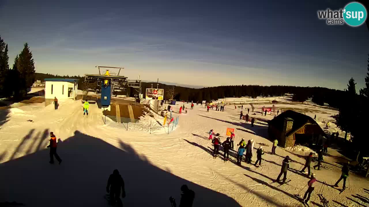 Live Webcam Rogla – Planja – Slovenia Ski resort