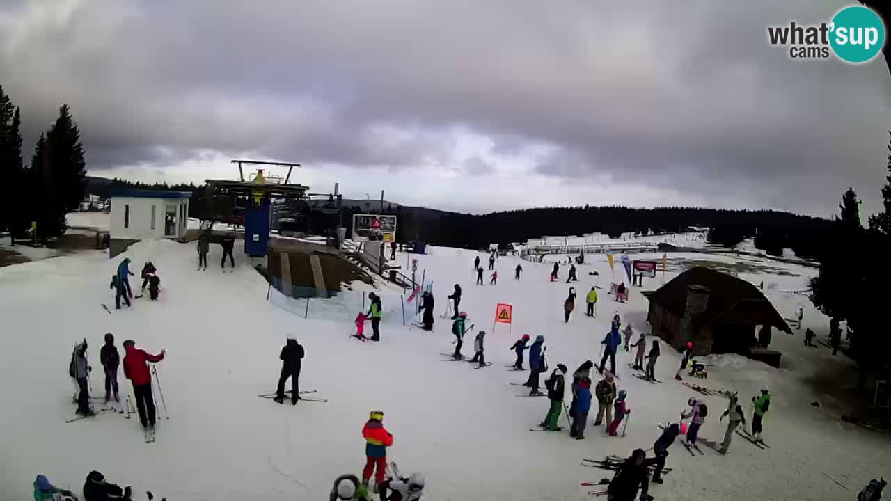 Live Webcam Rogla – Planja – Slovenia Ski resort