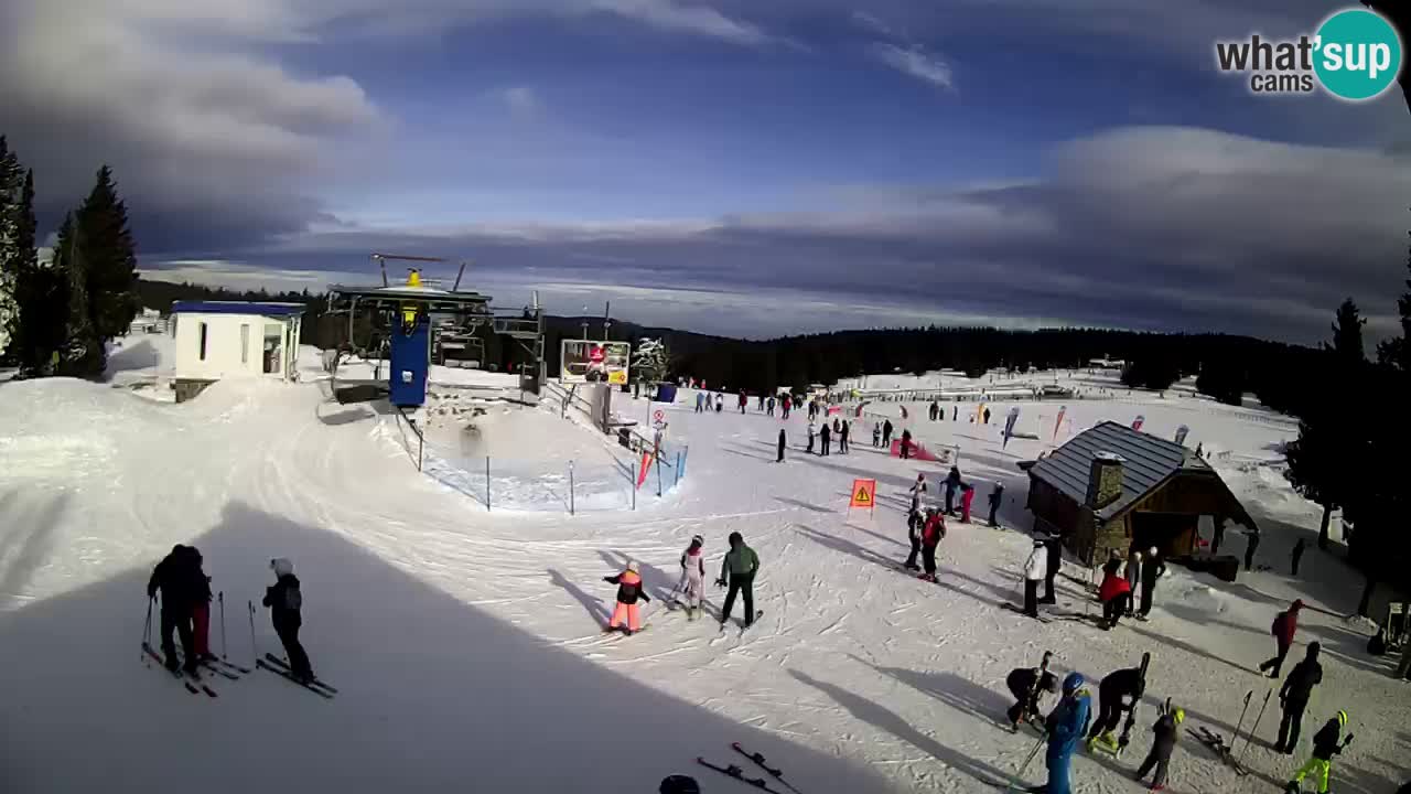 Live Webcam Rogla – Planja – Slovenia Ski resort