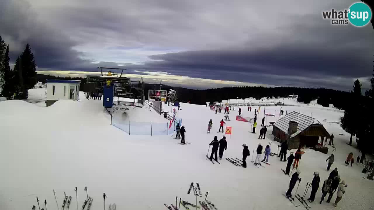 Live Webcam Rogla – Planja – Slovenia Ski resort