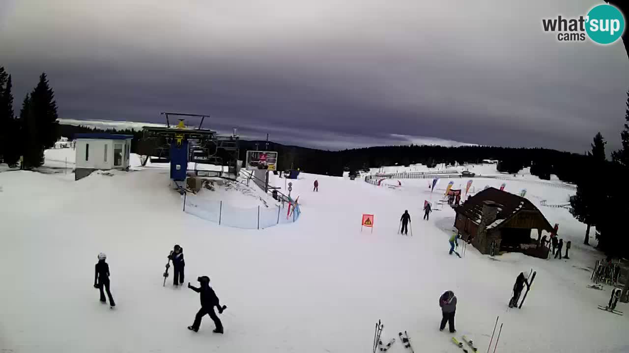 Live Webcam Rogla – Planja – Slovenia Ski resort